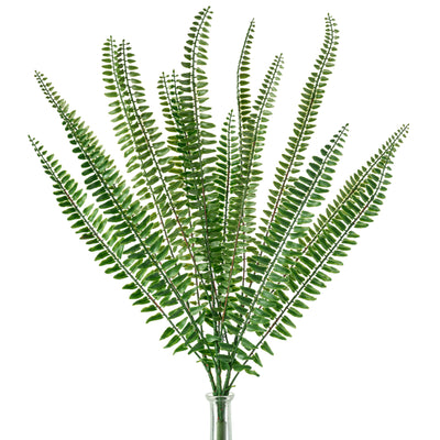 29" Boston Fern Bush