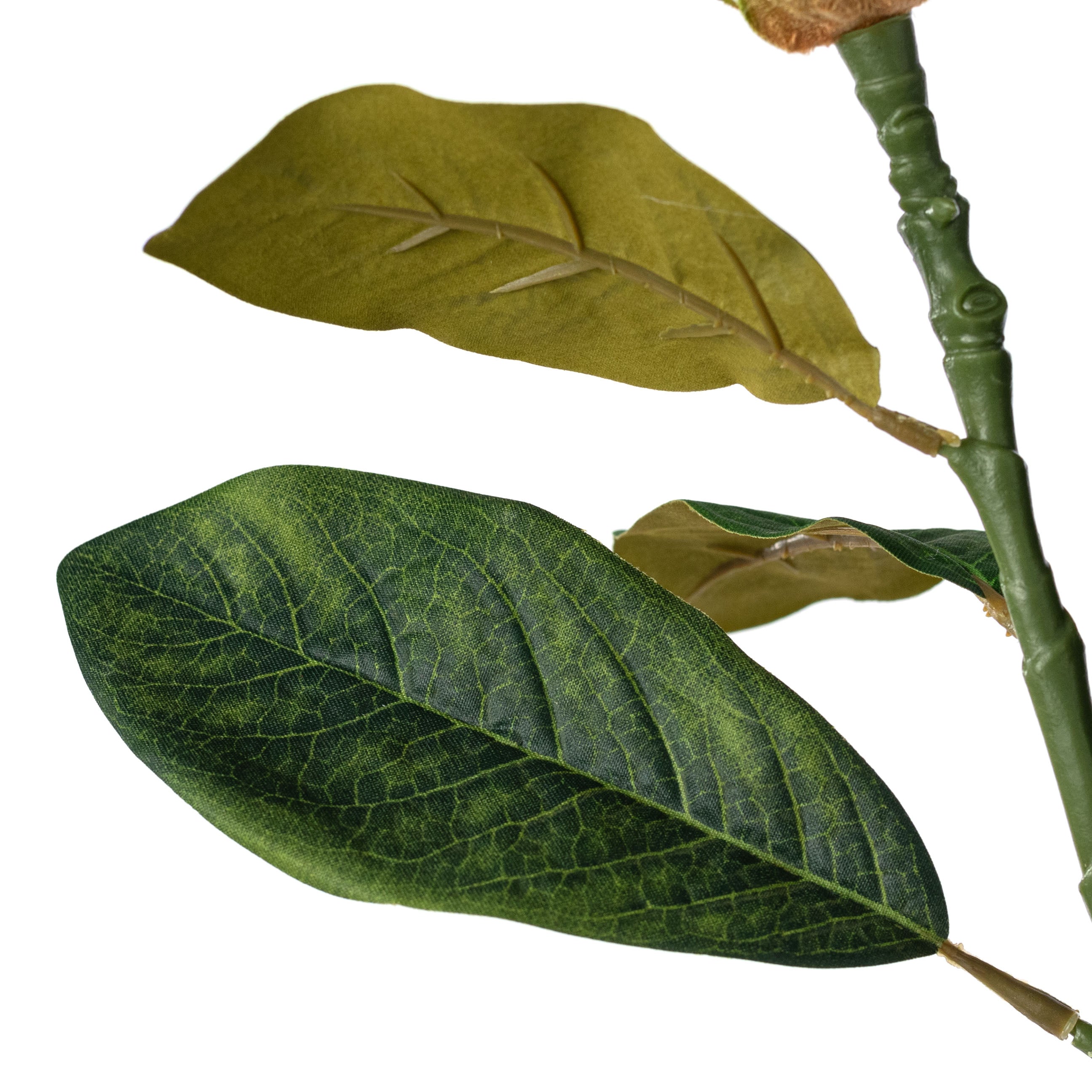 29" Magnolia Flower Stem
