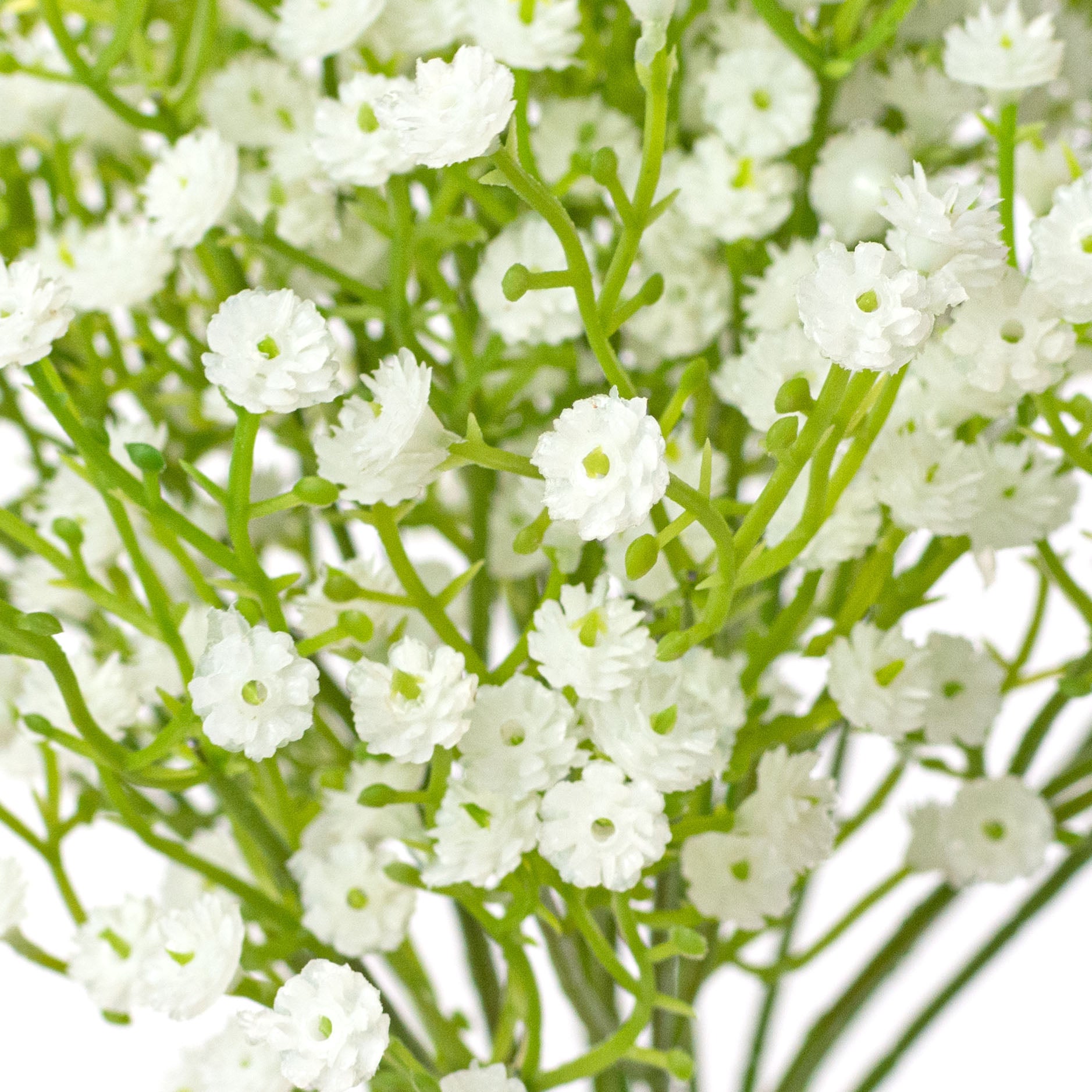 18" Gypso Baby's Breath Bundle (6 Stem)