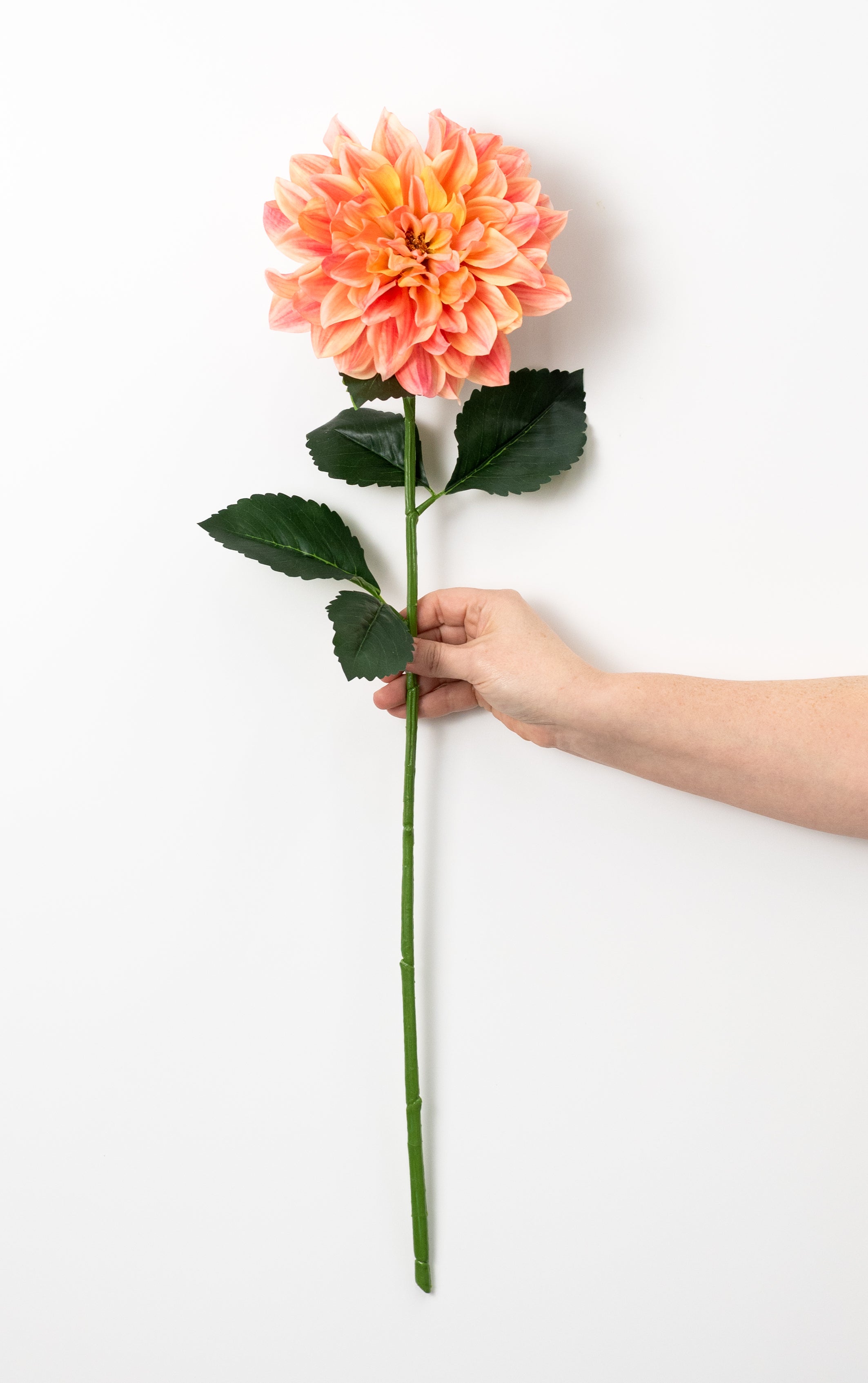 27" Dahlia Stem: Two Tone Coral