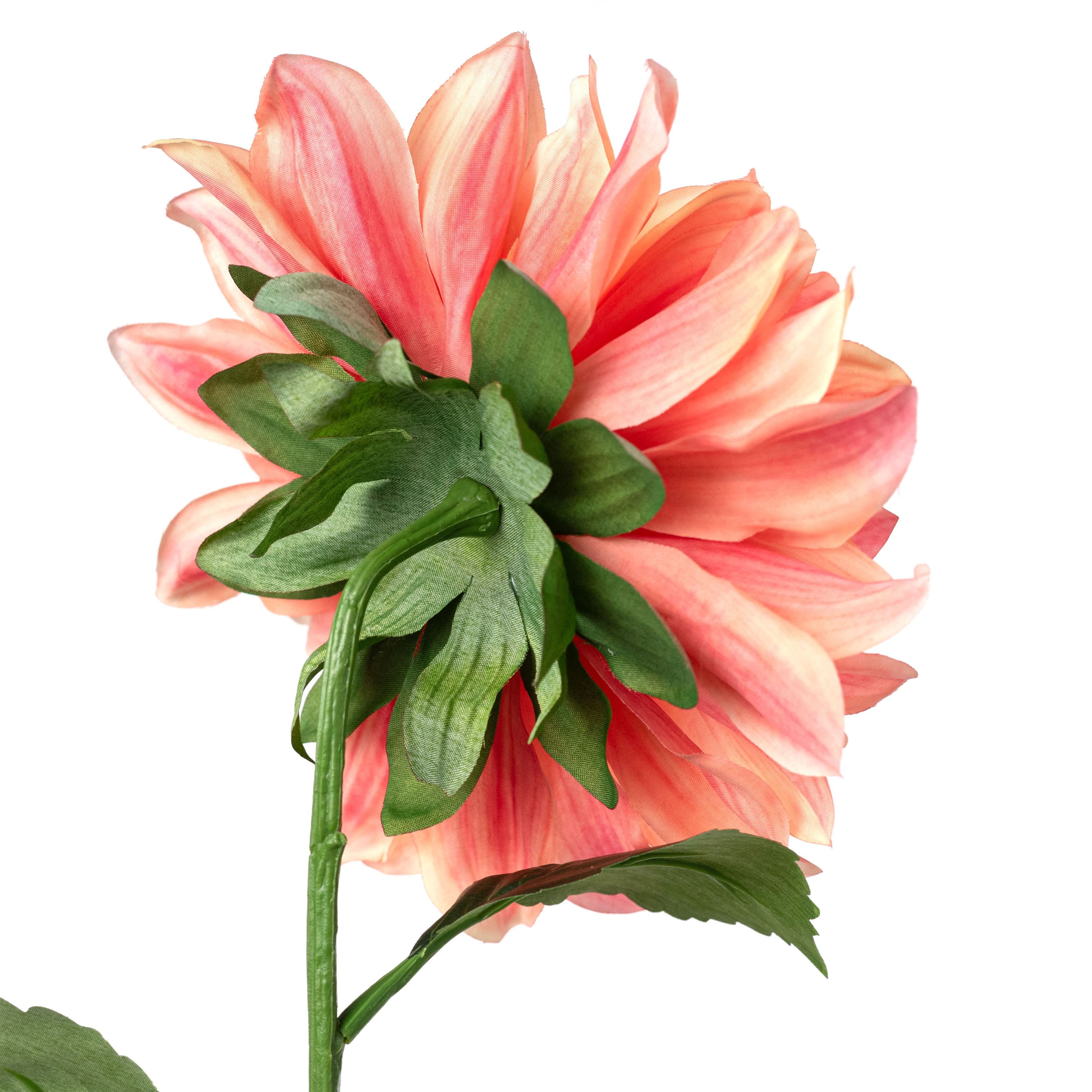 27" Dahlia Stem: Two Tone Coral