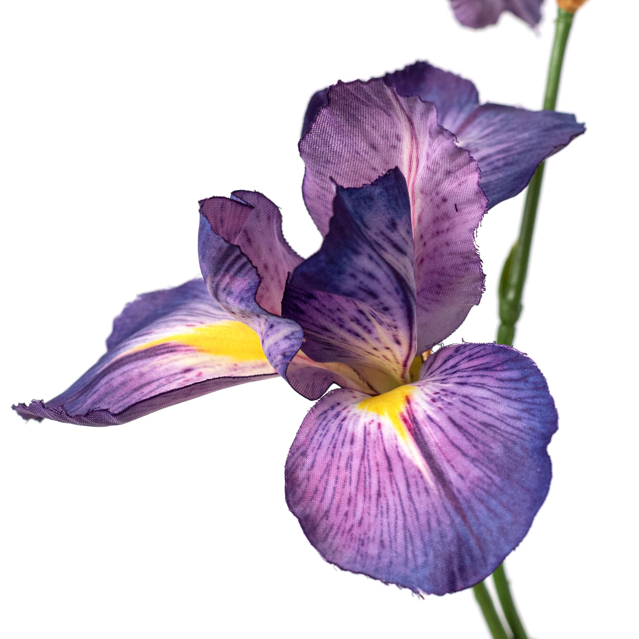 22" Wild Iris Spray: Purple