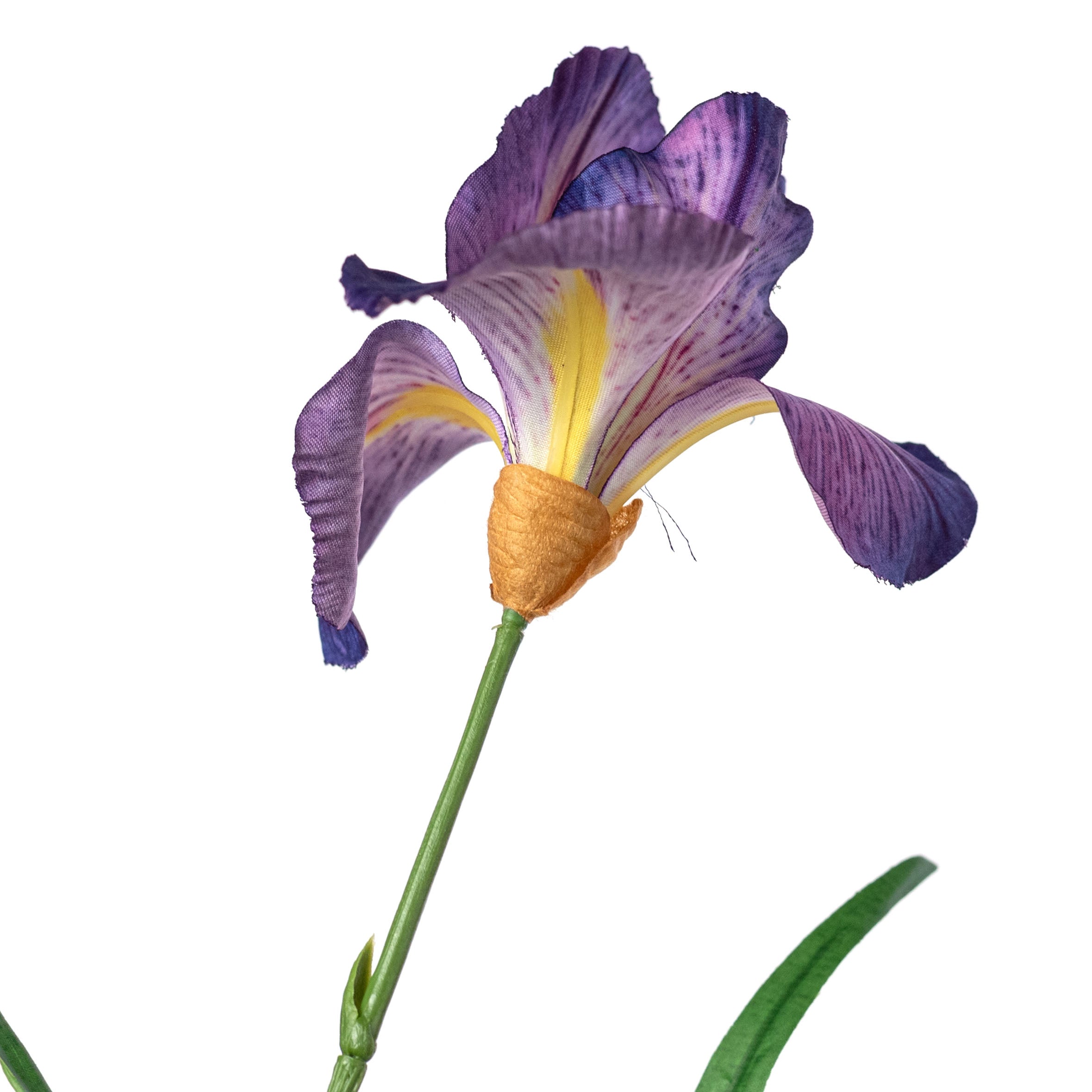 22" Wild Iris Spray: Purple