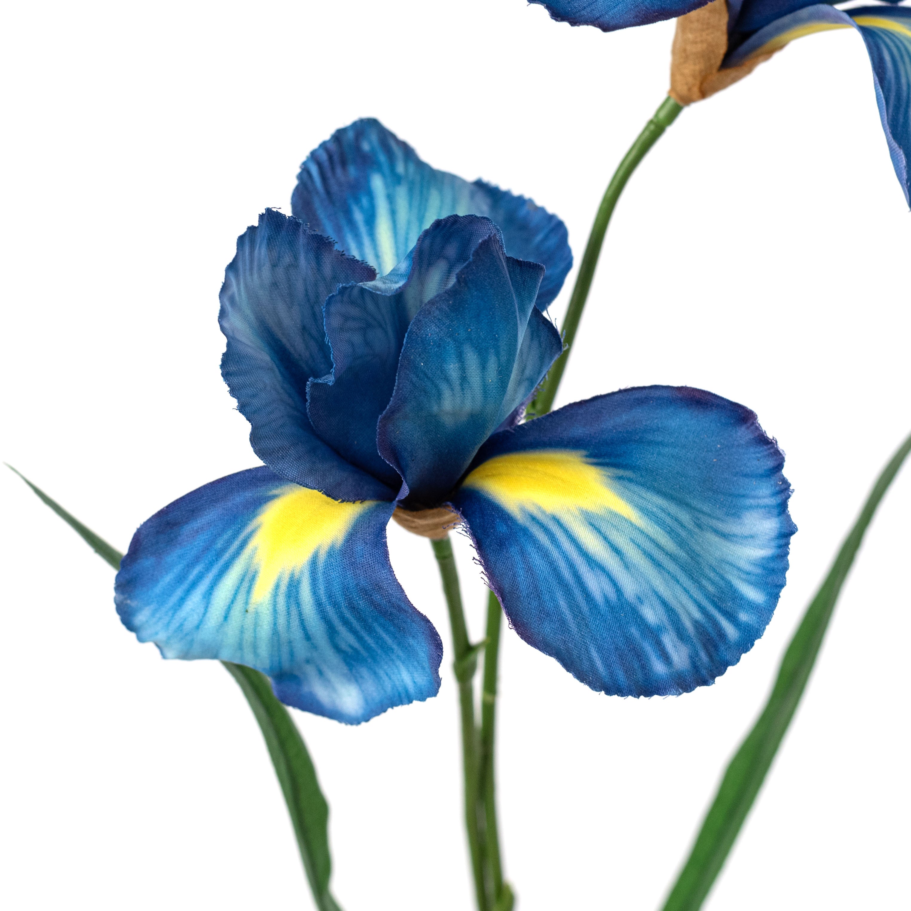 22" Wild Iris Spray: Blue