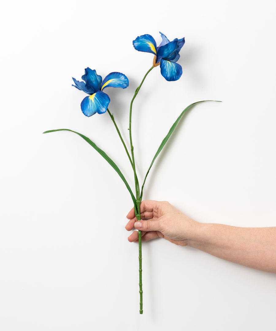 22" Wild Iris Spray: Blue