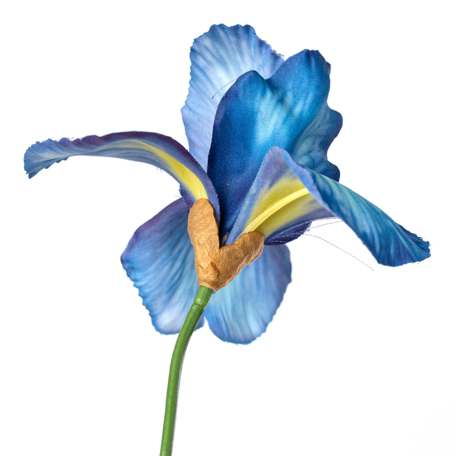 22" Wild Iris Spray: Blue