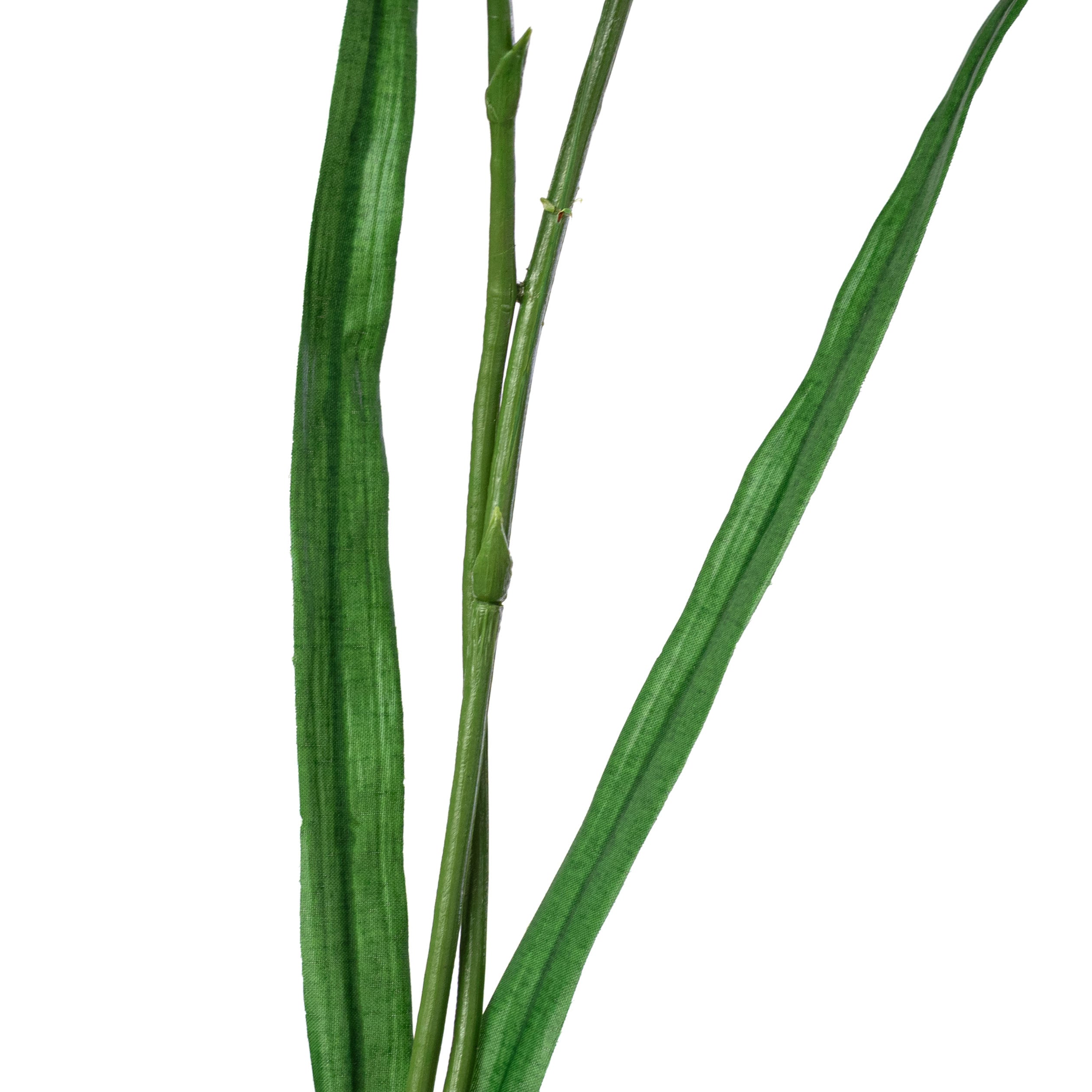 22" Wild Iris Spray: Blue