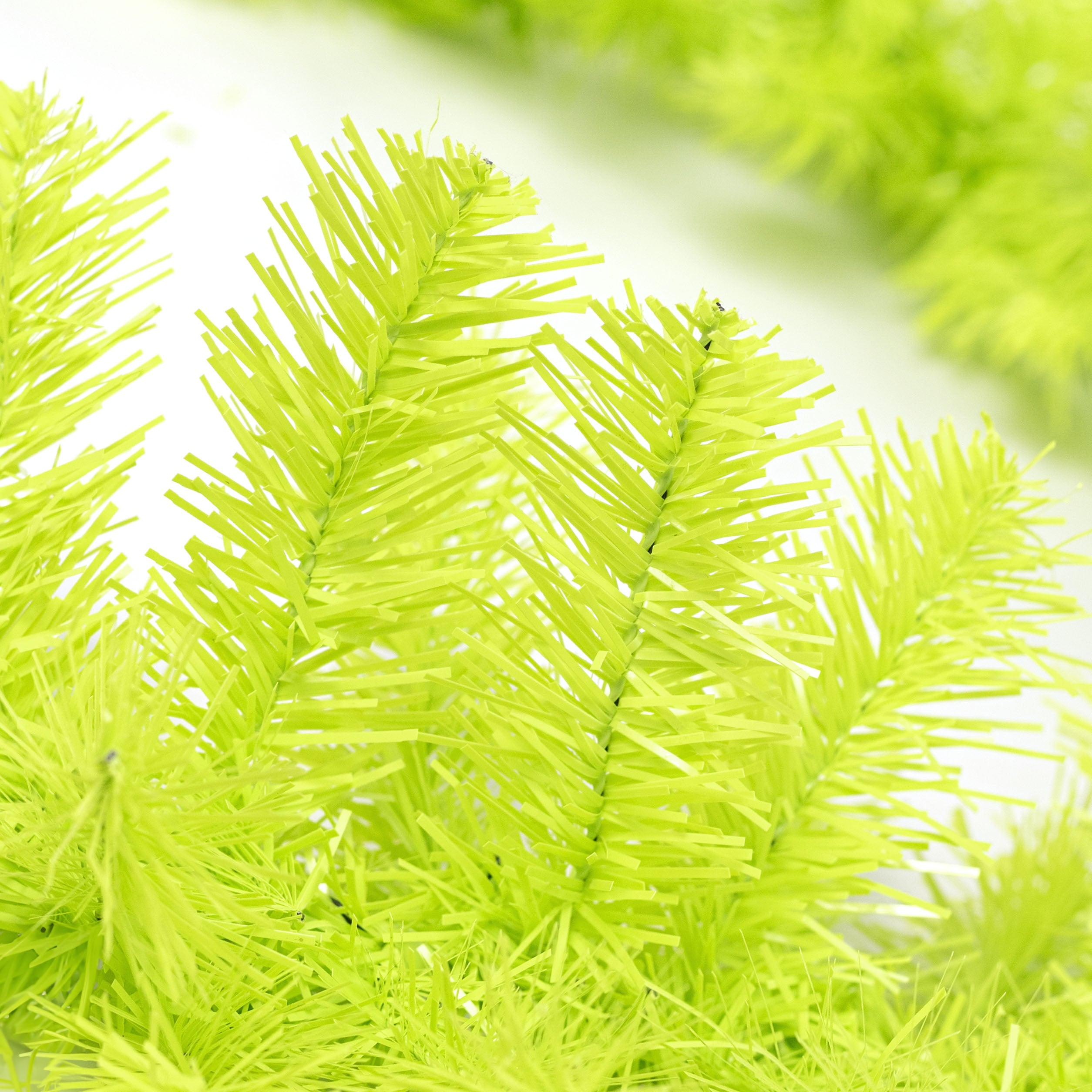 9' PVC Pine Garland: Lime Green (201 Tips)