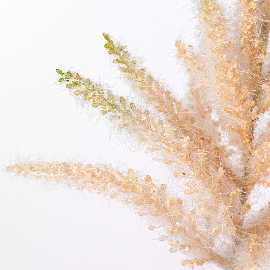 19" Astilbe Spray: Peach & Green
