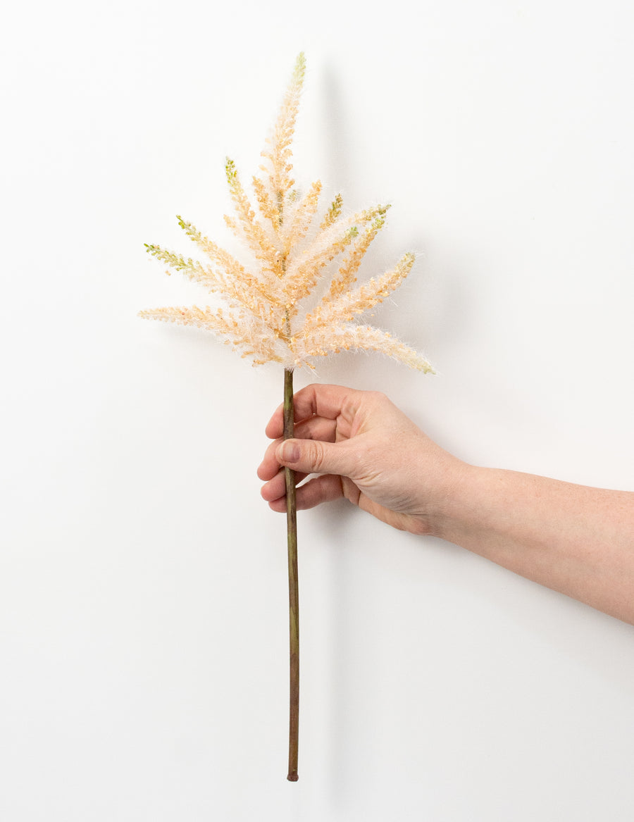 19" Astilbe Spray: Peach & Green