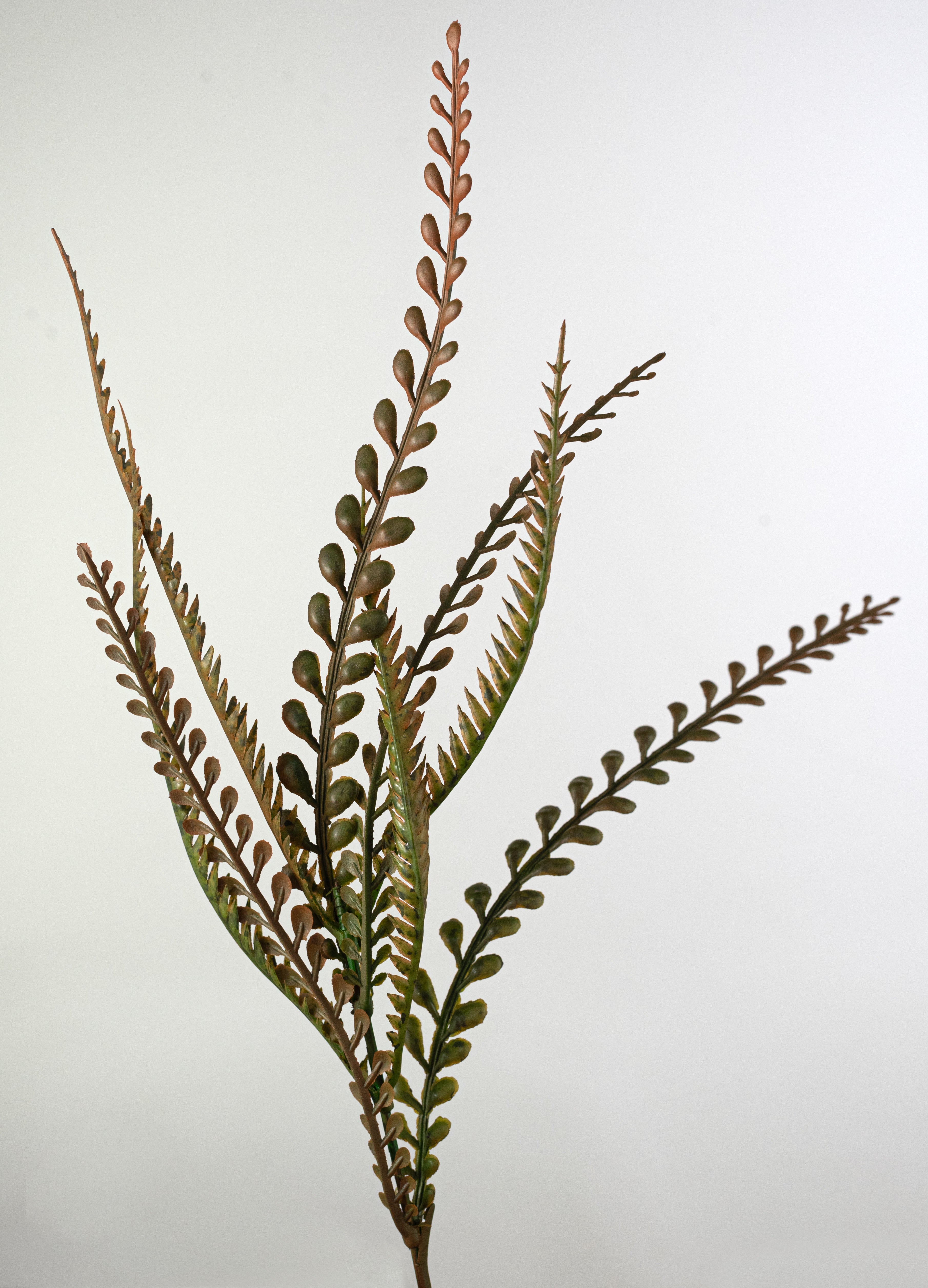 20" Plastic Leaf Button Fern Bush: Sage Green (7 Stem)