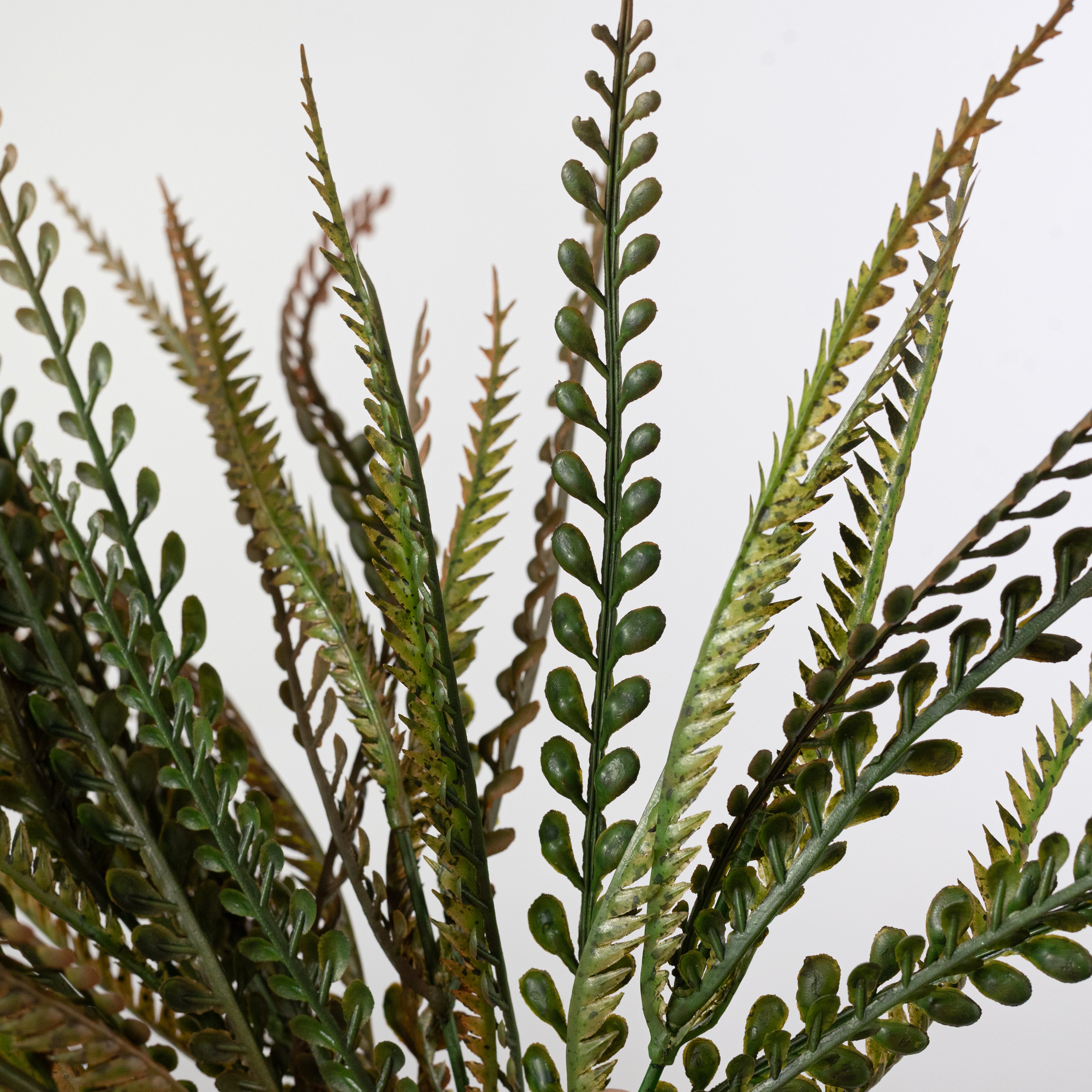 20" Plastic Leaf Button Fern Bush: Sage Green (7 Stem)