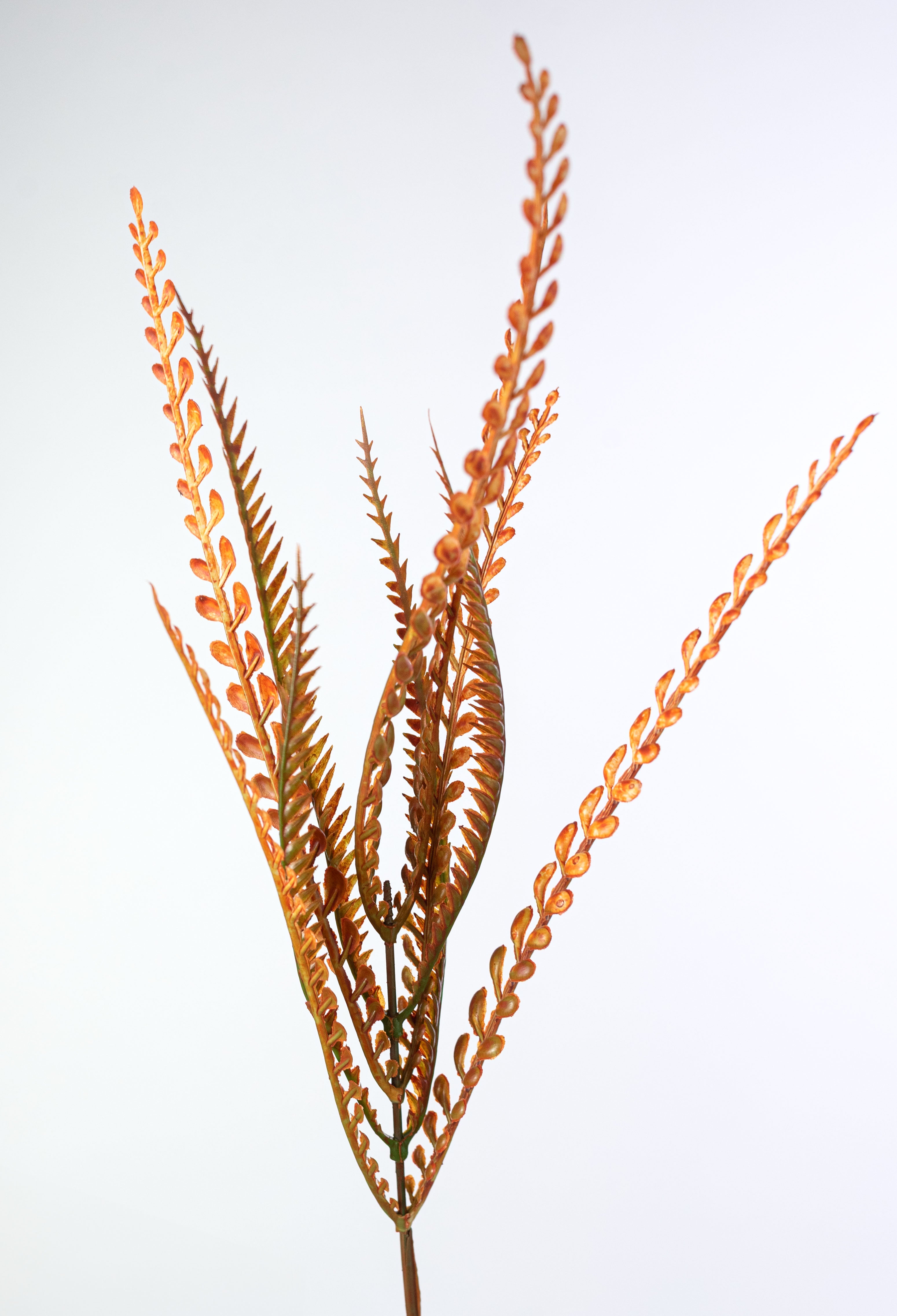 20" Plastic Leaf Button Fern Bush: Orange (7 Stem)