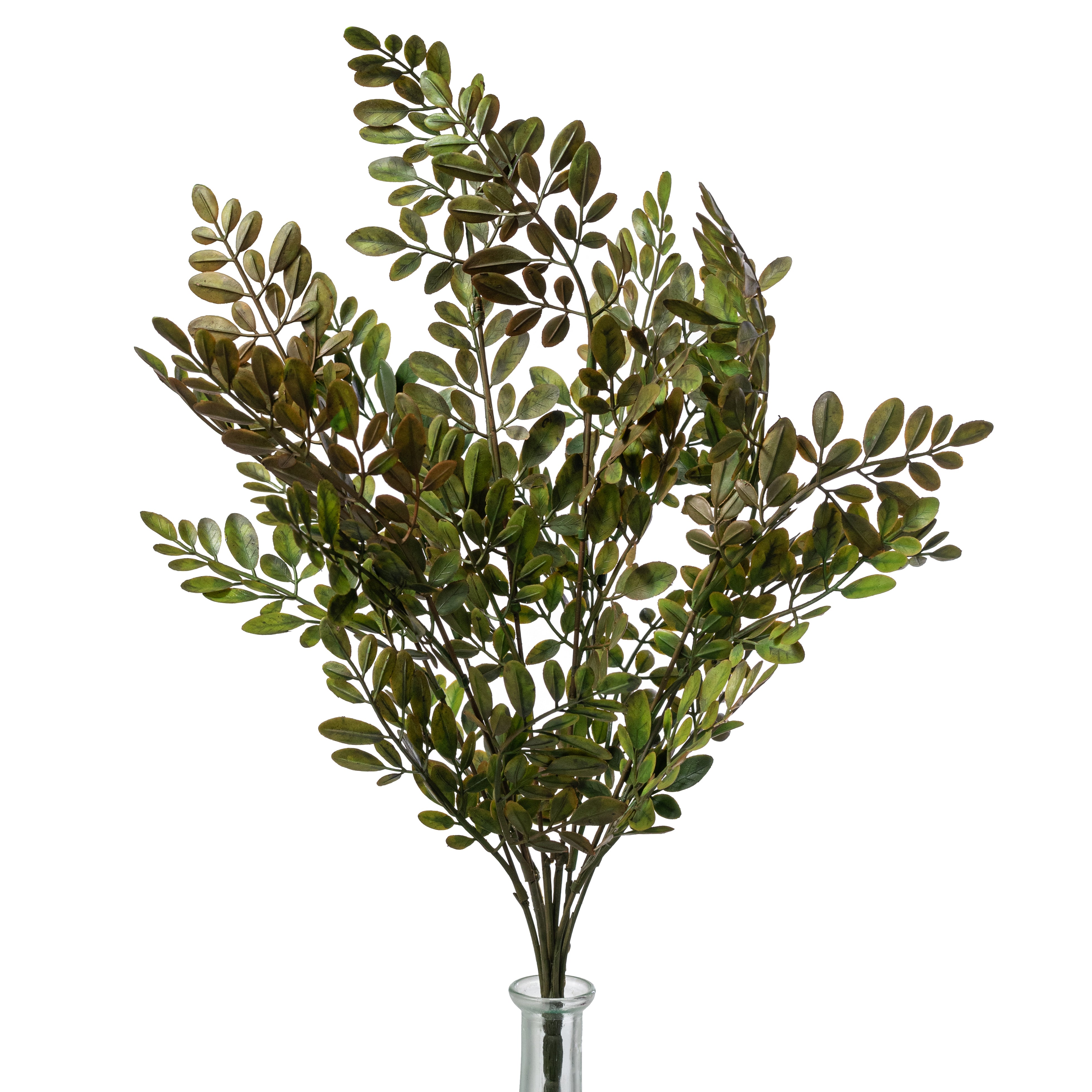 21" Plastic Herb of Grace Leaves Bush: Sage Green (7 Stem)