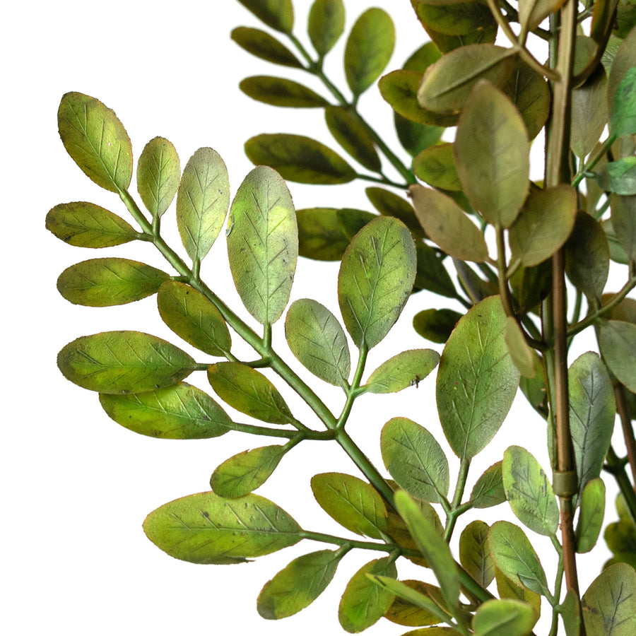 21" Plastic Herb of Grace Leaves Bush: Sage Green (7 Stem)