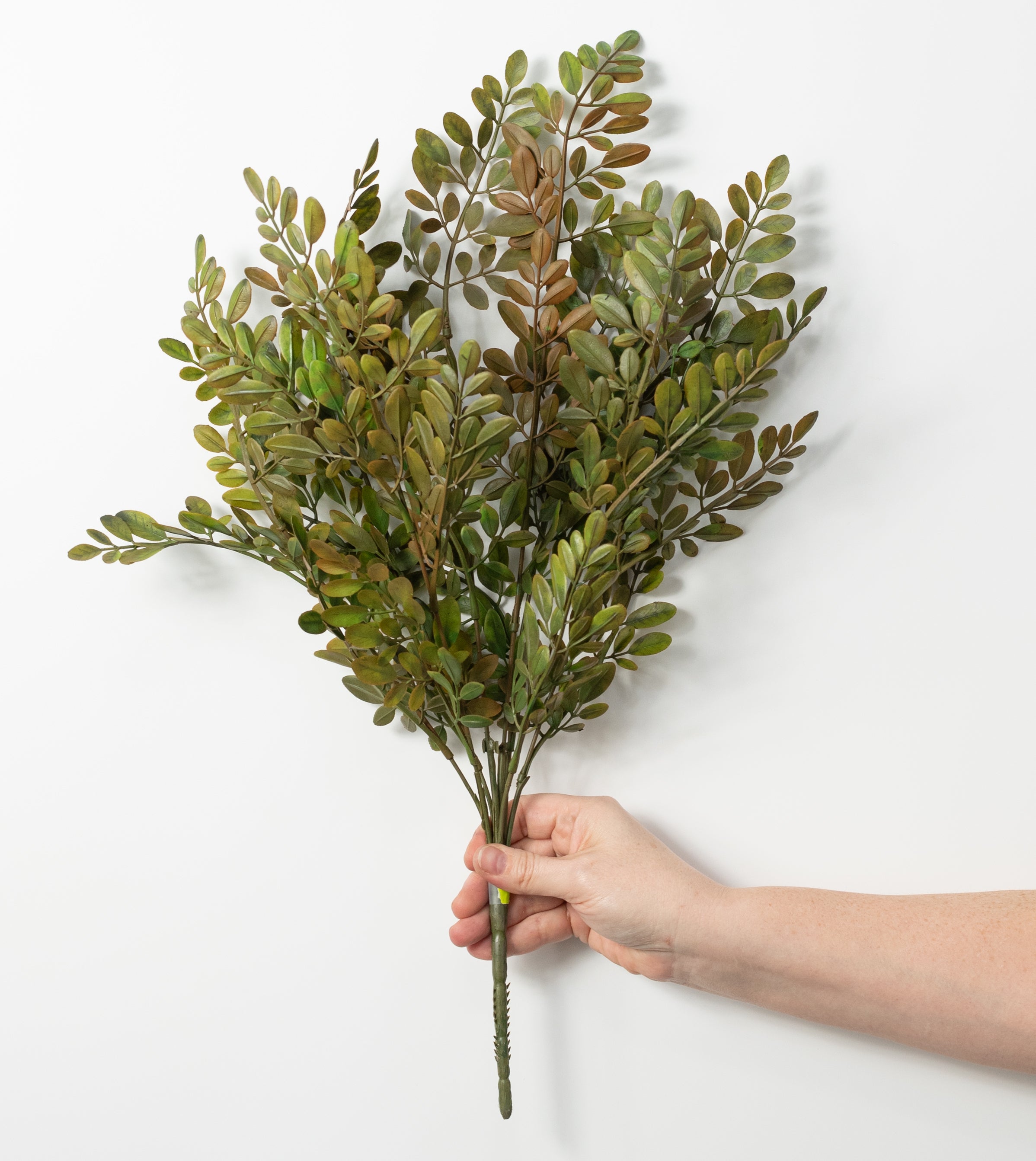 21" Plastic Herb of Grace Leaves Bush: Sage Green (7 Stem)