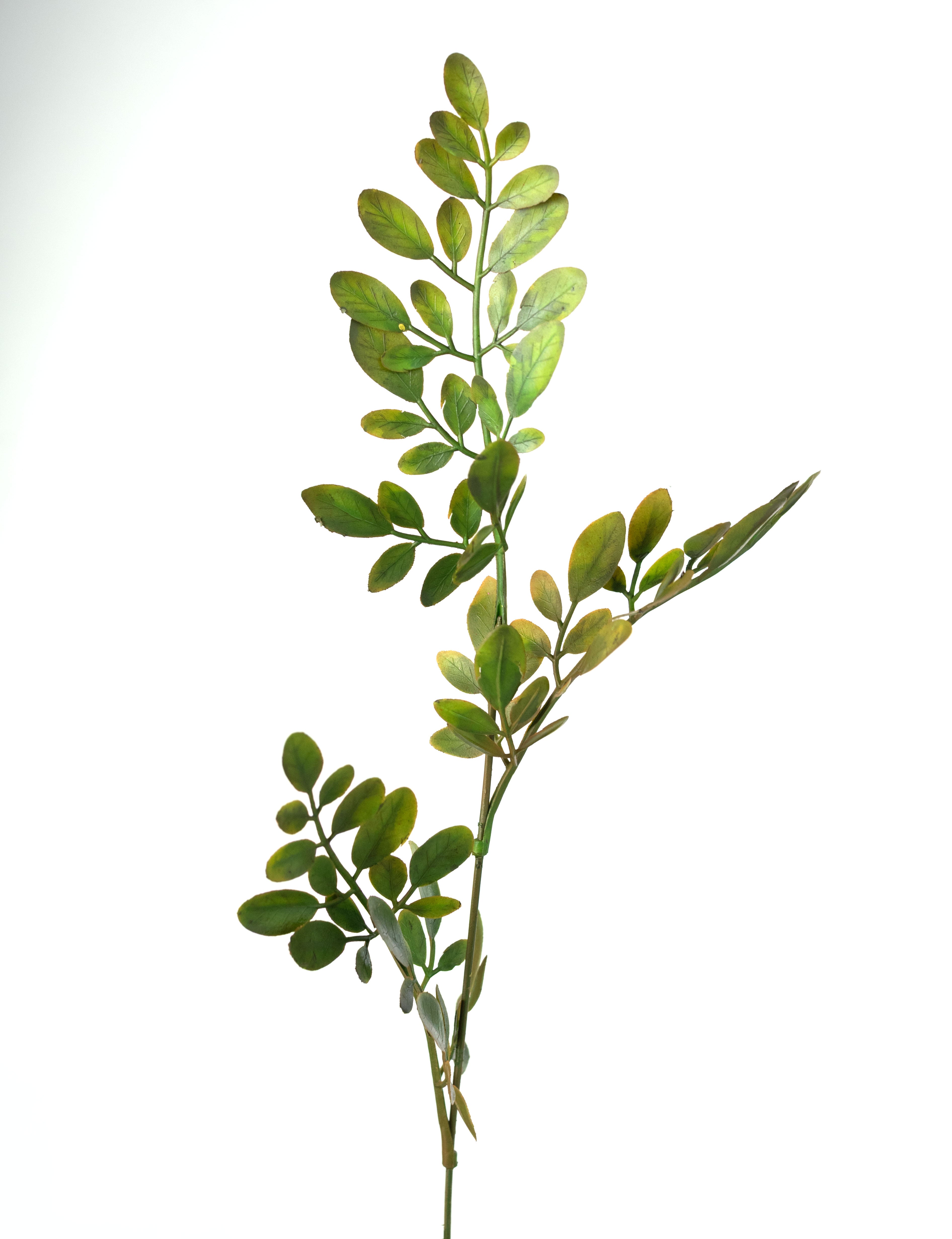 21" Plastic Herb of Grace Leaves Bush: Sage Green (7 Stem)