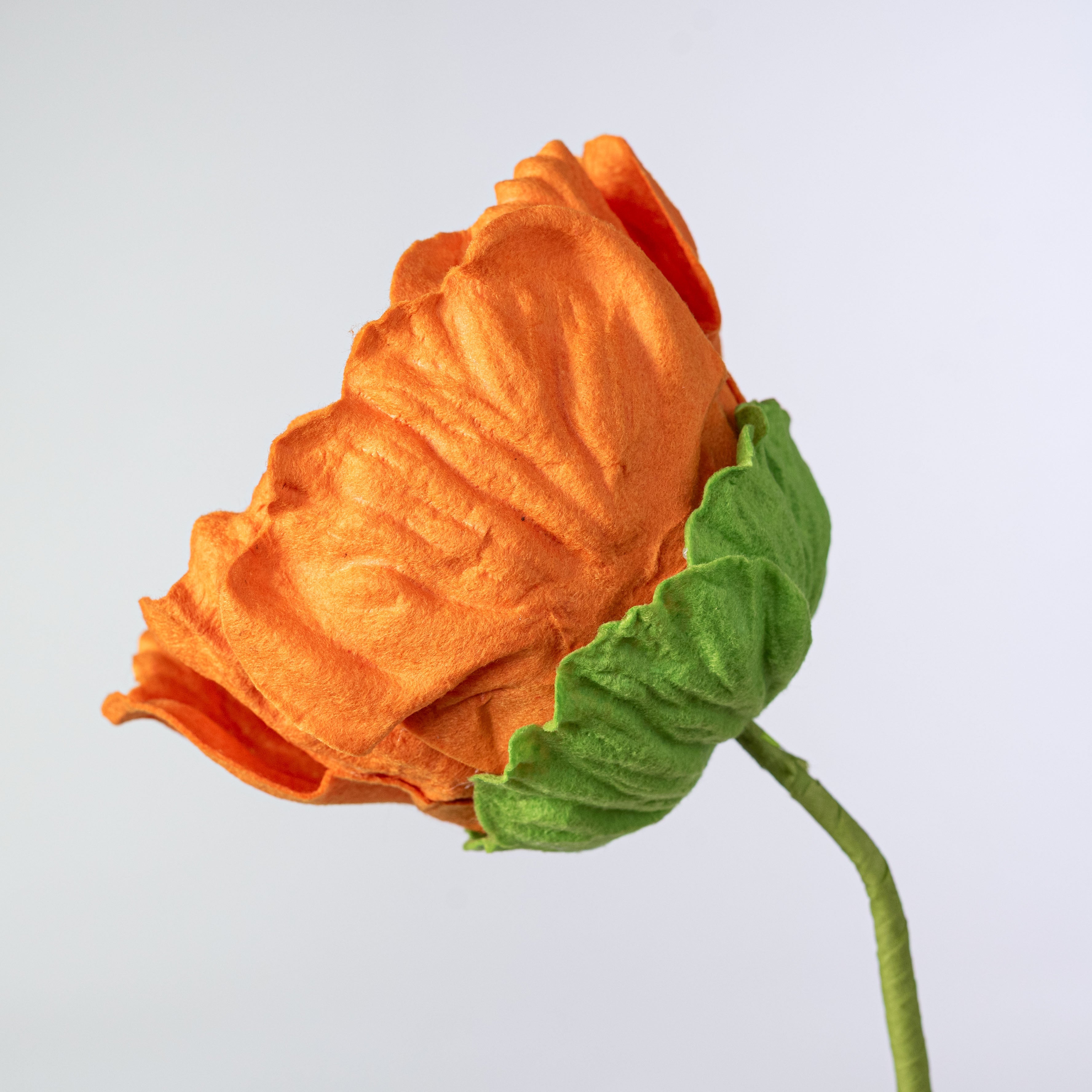 21" Eyeball Flower Stem: Orange