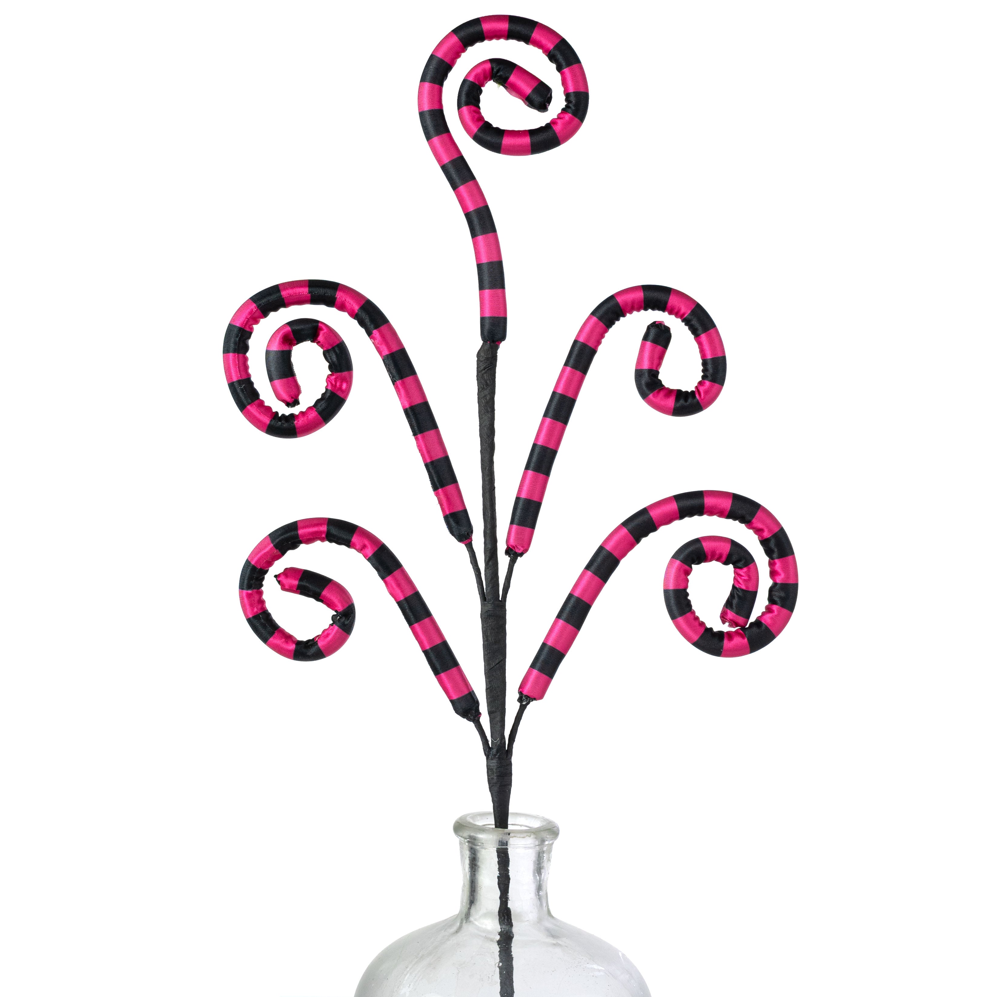 26" Striped Curly Spray: Fuchsia Pink & Black