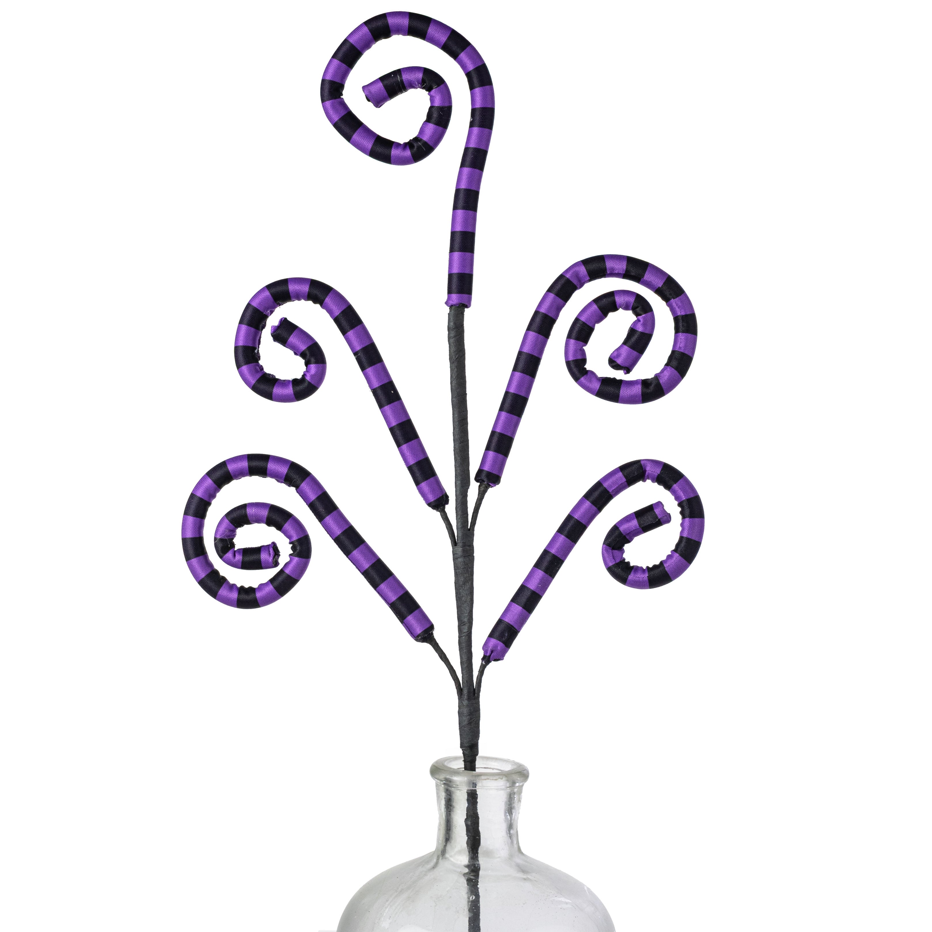 26" Striped Curly Spray: Purple & Black
