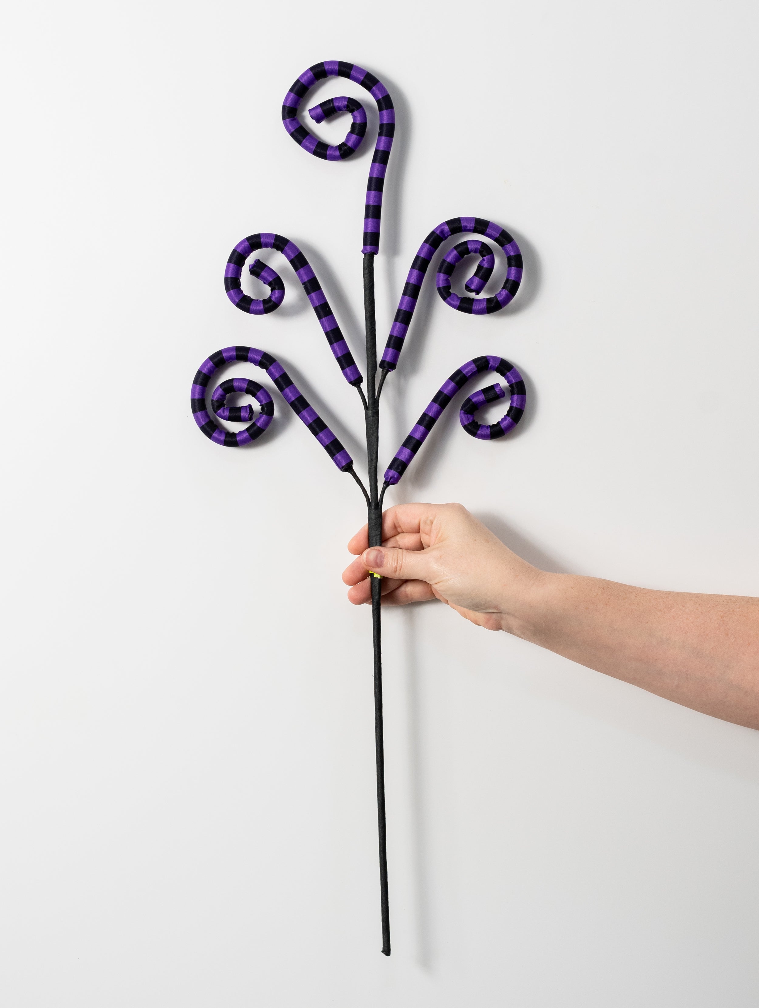 26" Striped Curly Spray: Purple & Black