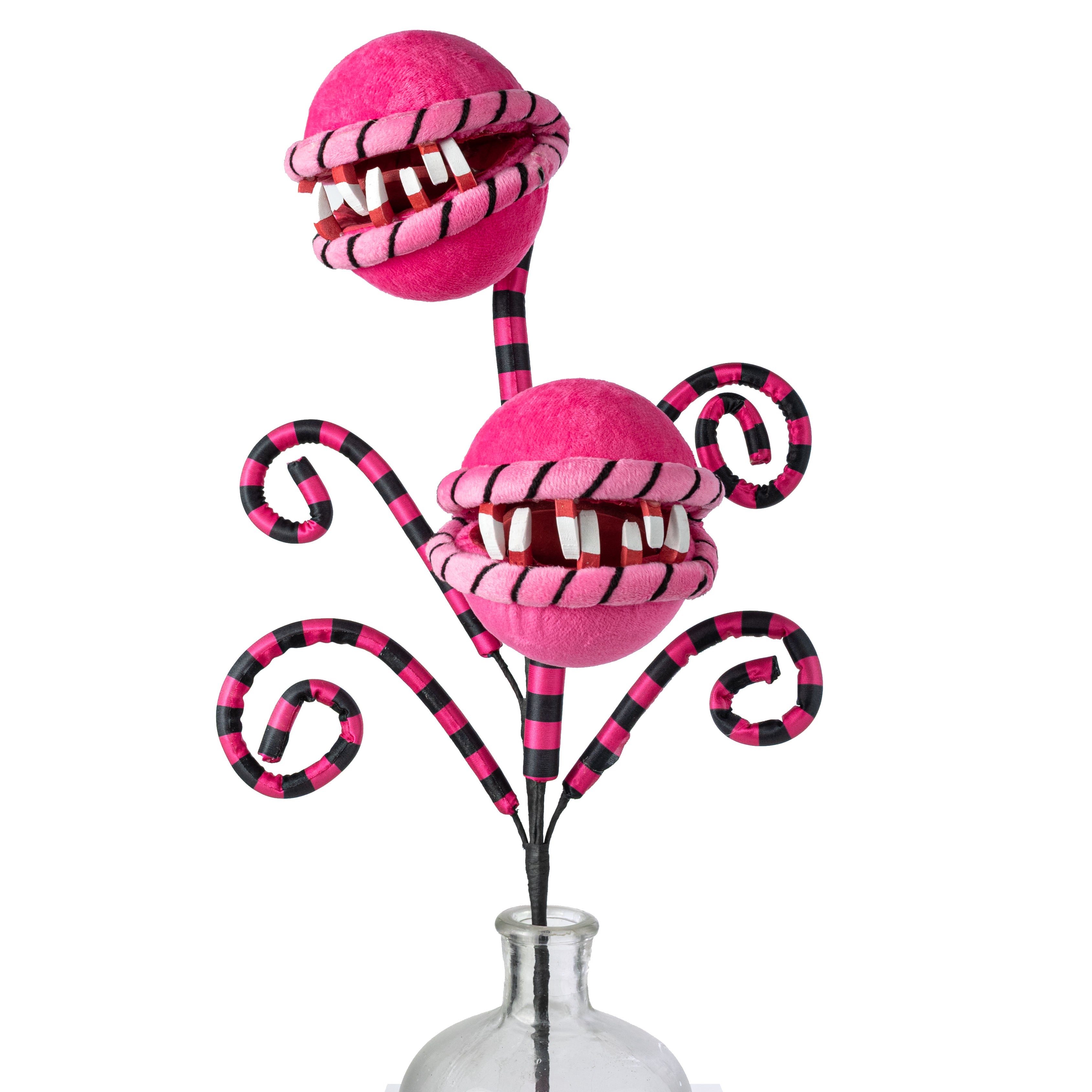 26" Venus Flytrap Curly Spray: Hot Pink