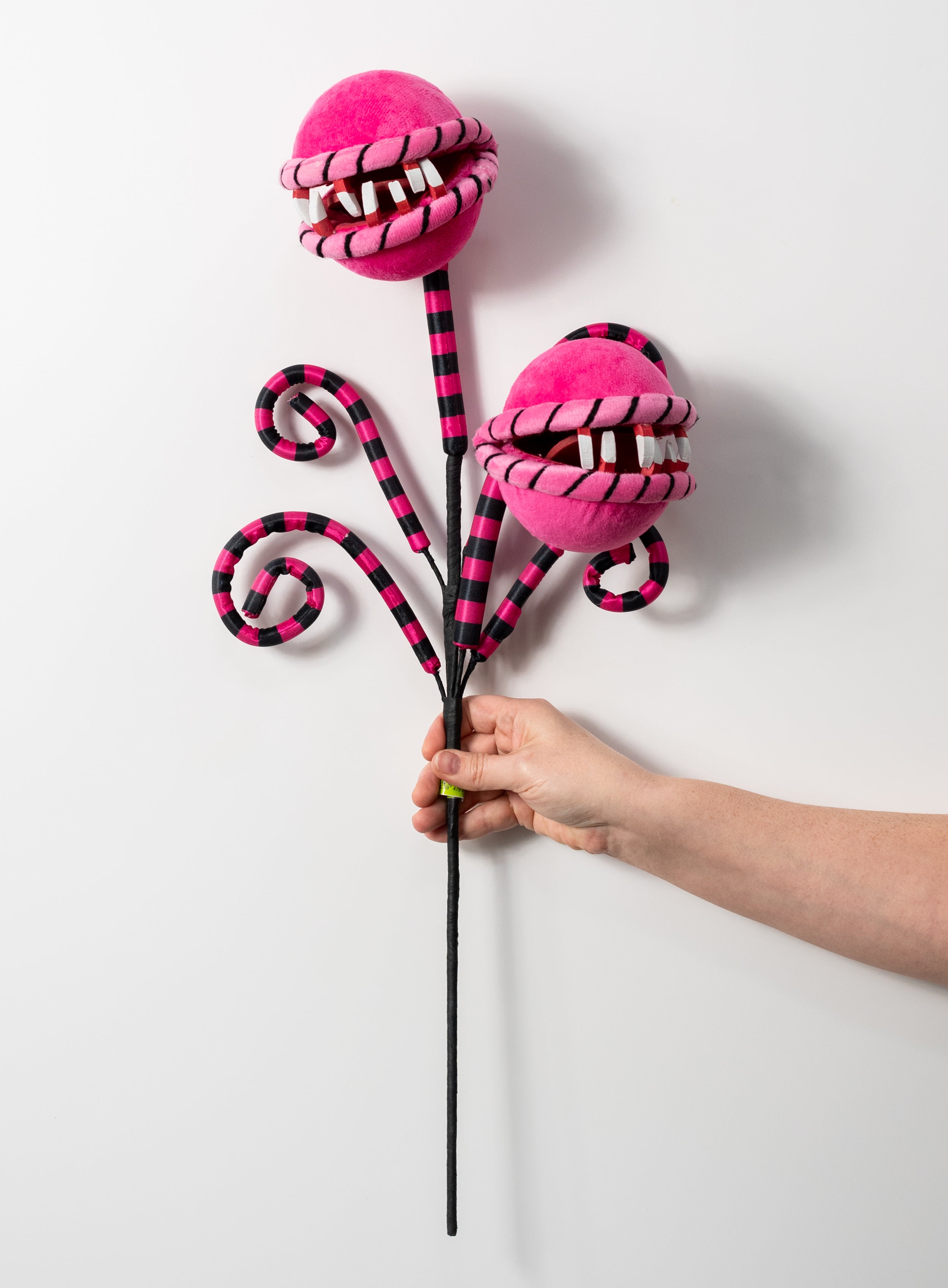 26" Venus Flytrap Curly Spray: Hot Pink