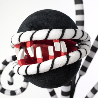 26" Venus Flytrap Curly Spray: Black & White