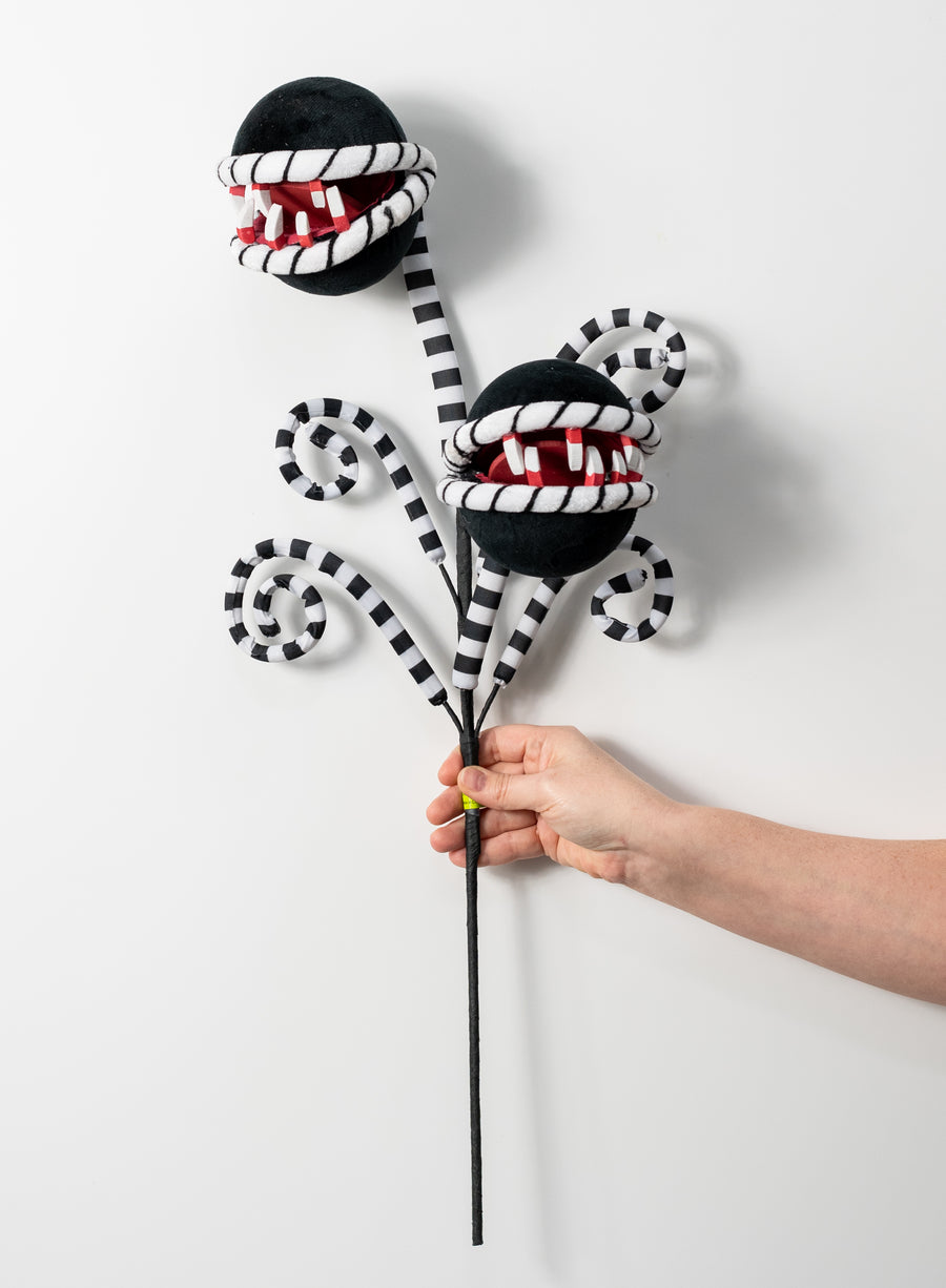 26" Venus Flytrap Curly Spray: Black & White