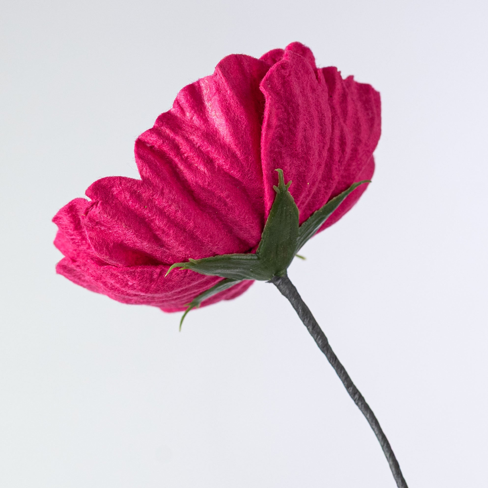 24" Eyeball Poppy Flower Spray: Fuchsia Pink
