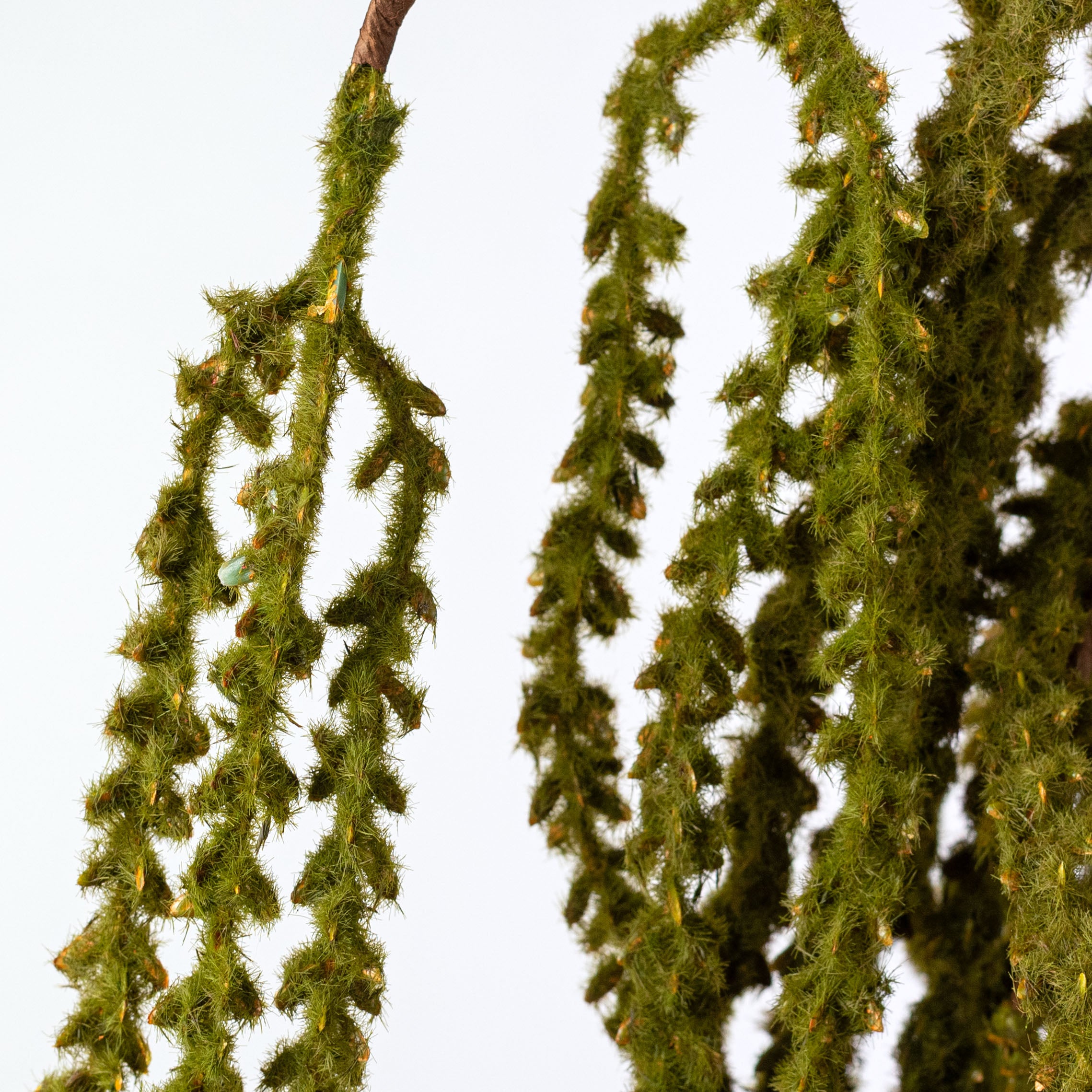 39" Hanging Feather Reed Spray: Olive Green