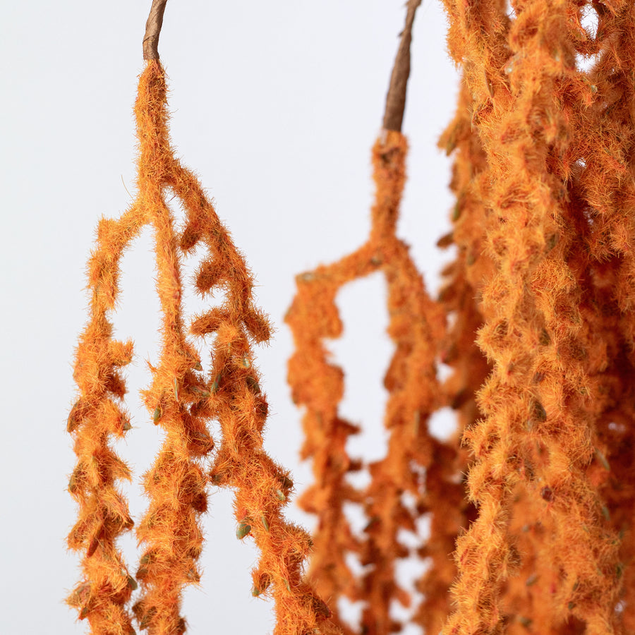 39" Hanging Feather Reed Spray: Rust Orange