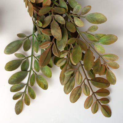 34" Plastic Herb of Grace Leaves Hanging Bush: Sage Green (5 Stem)