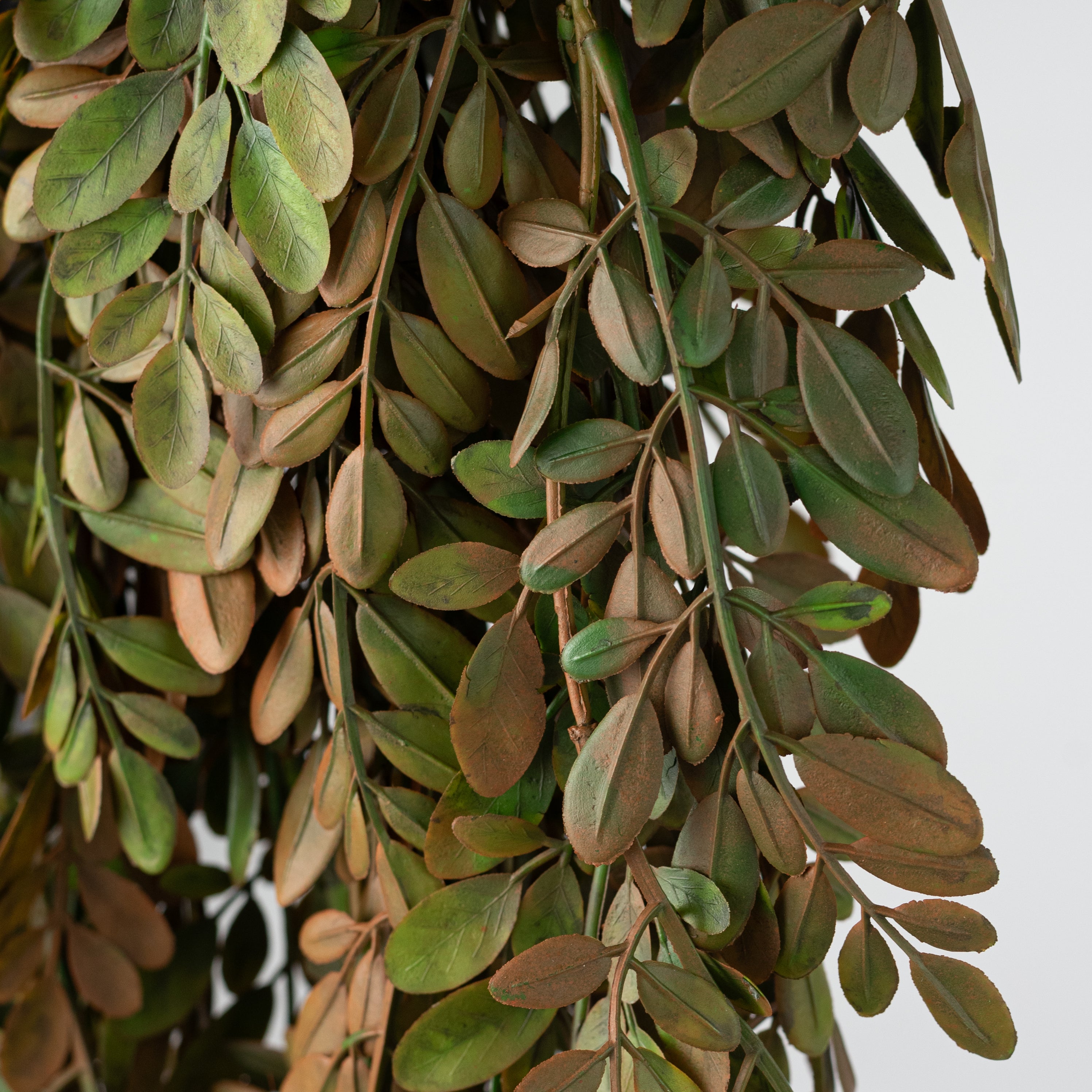 34" Plastic Herb of Grace Leaves Hanging Bush: Sage Green (5 Stem)