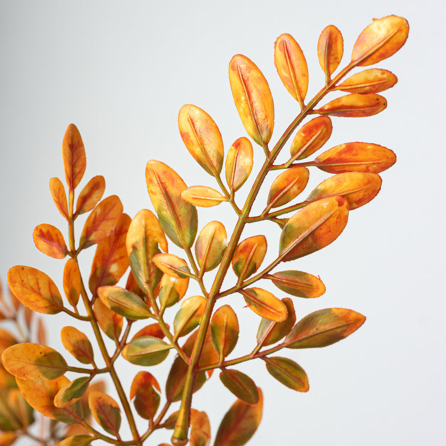 21" Plastic Herb of Grace Leaves Bush: Orange (7 Stem)