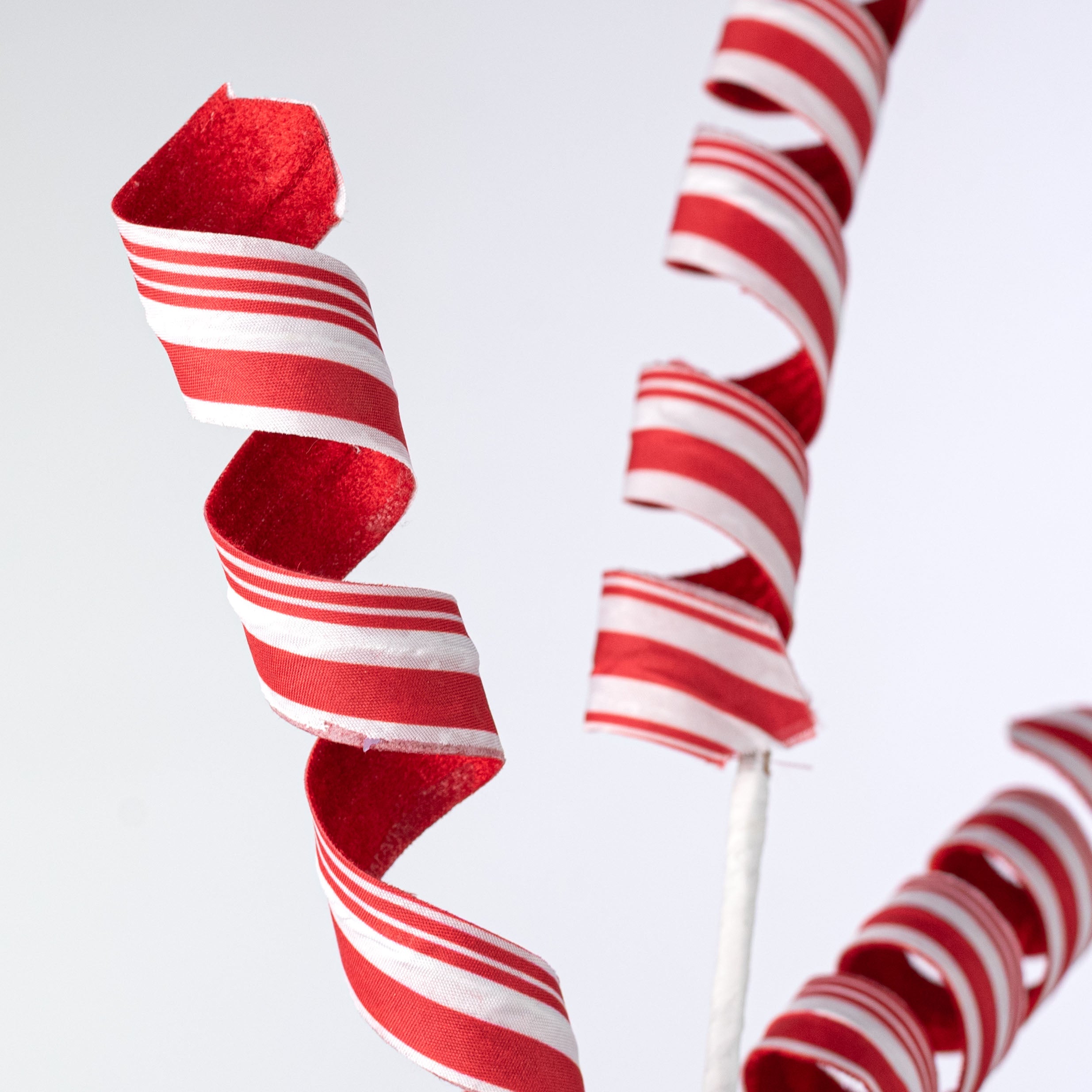 24" Peppermint Curly Spray: Red & White Varied Vertical Stripes