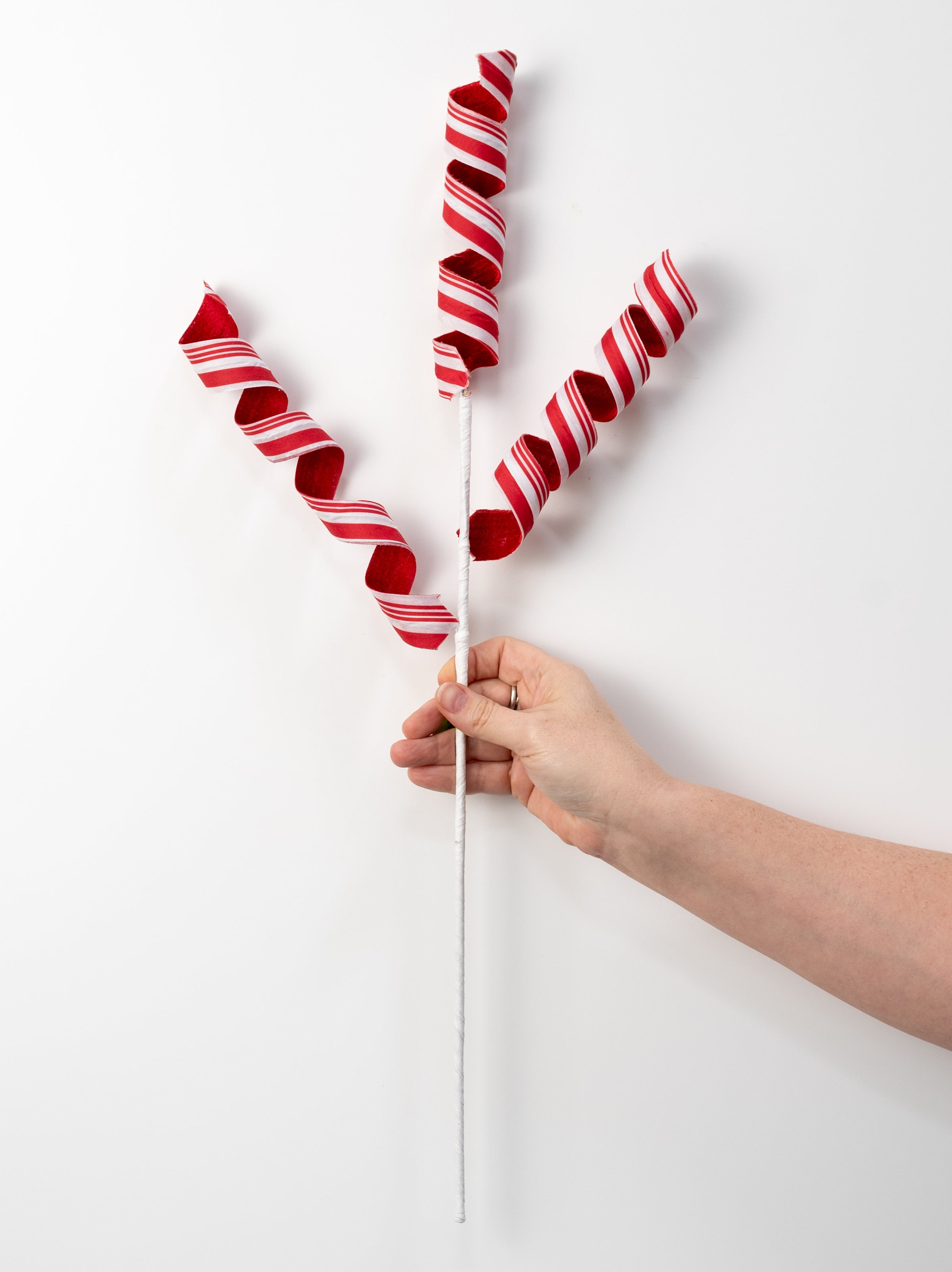 24" Peppermint Curly Spray: Red & White Varied Vertical Stripes