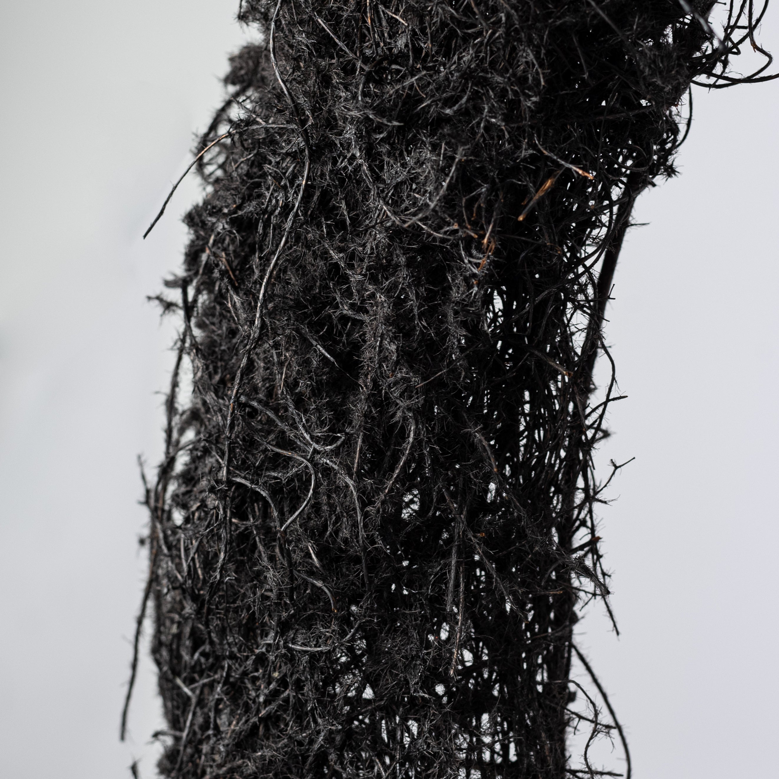 18" Black Moss Vine Wreath: Oval