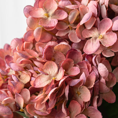 19" Hydrangea Bush: Mauve (5 Stem)