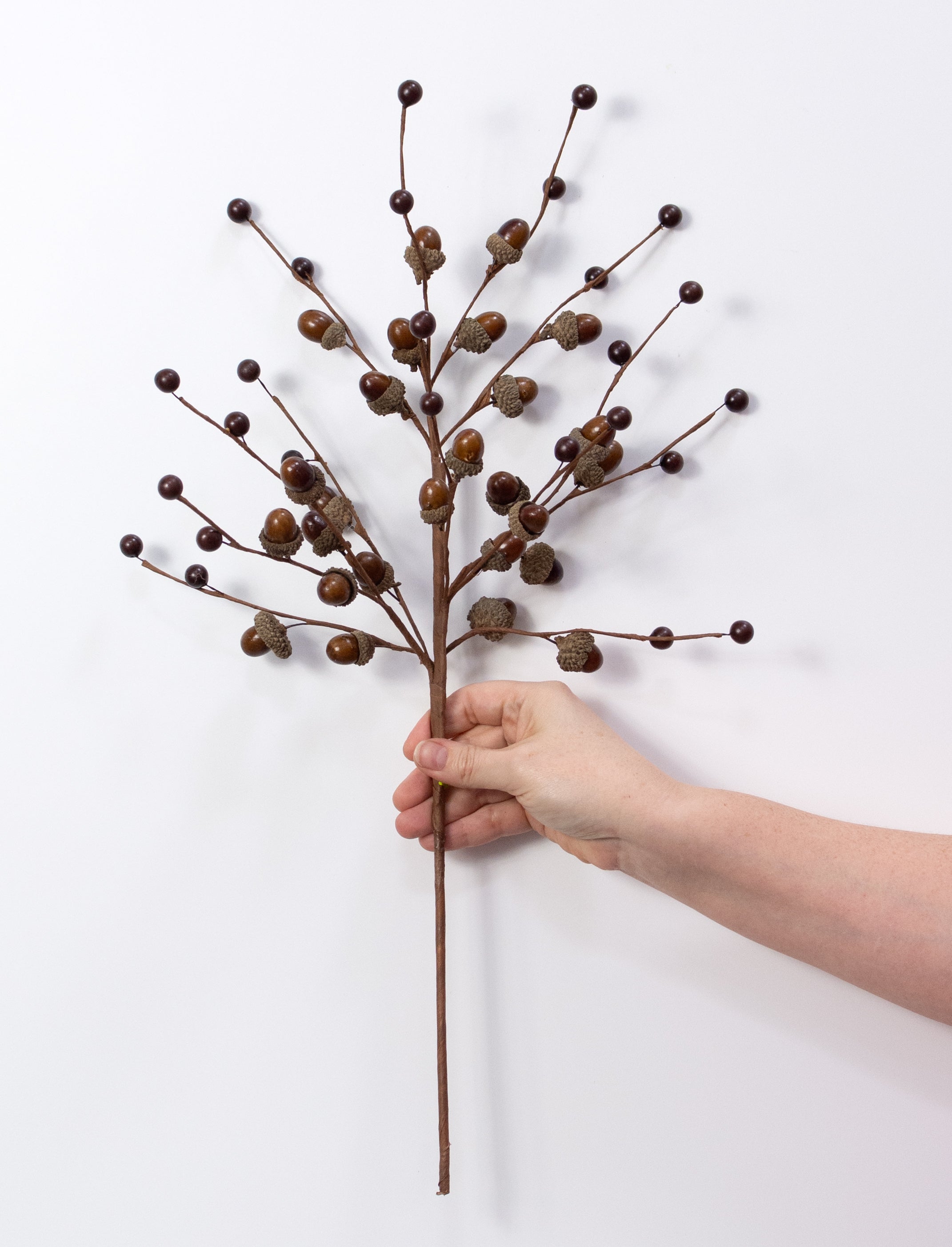 22" Mini Acorn Spray: Brown