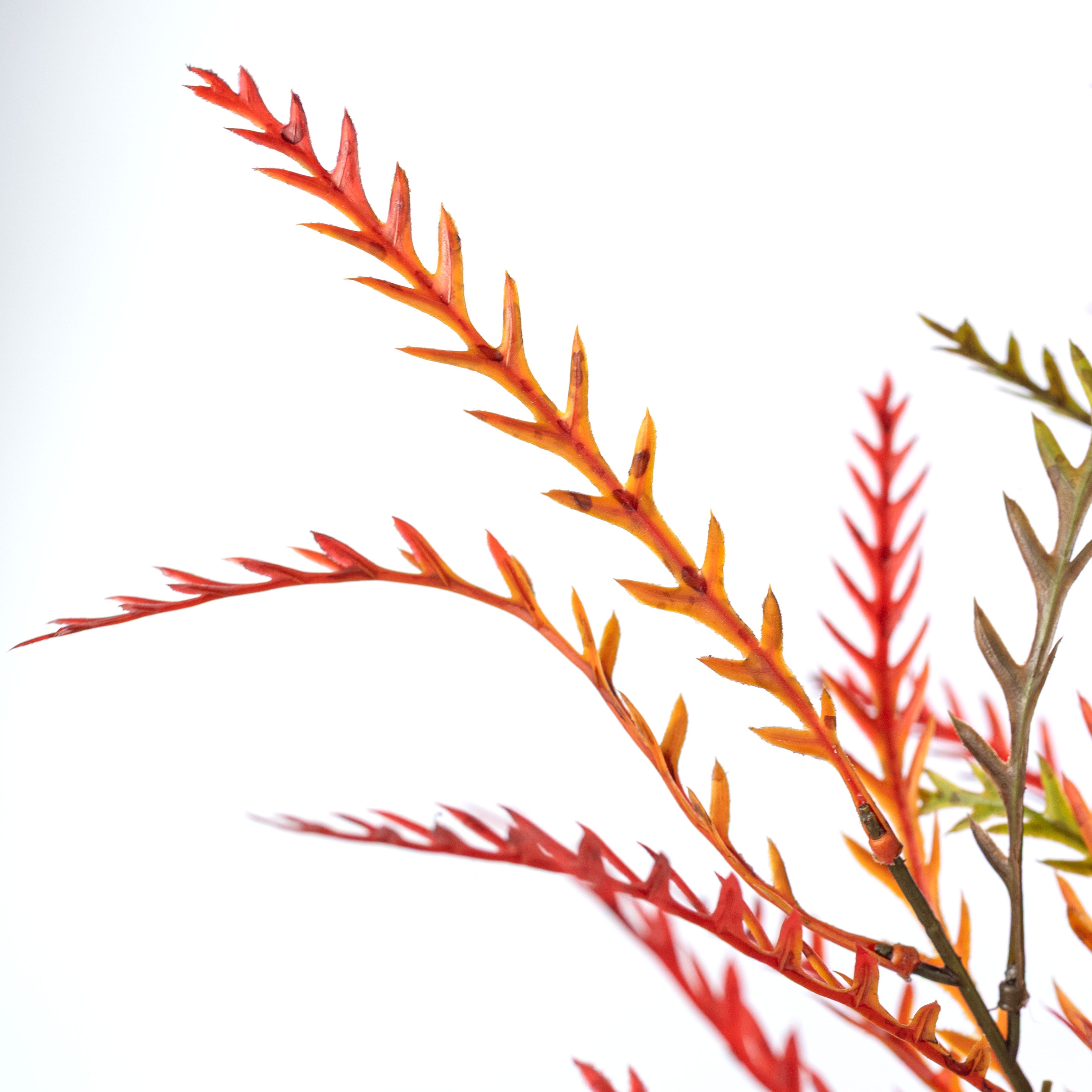 21" Plastic Fern Greenery Bush: Fall Hues