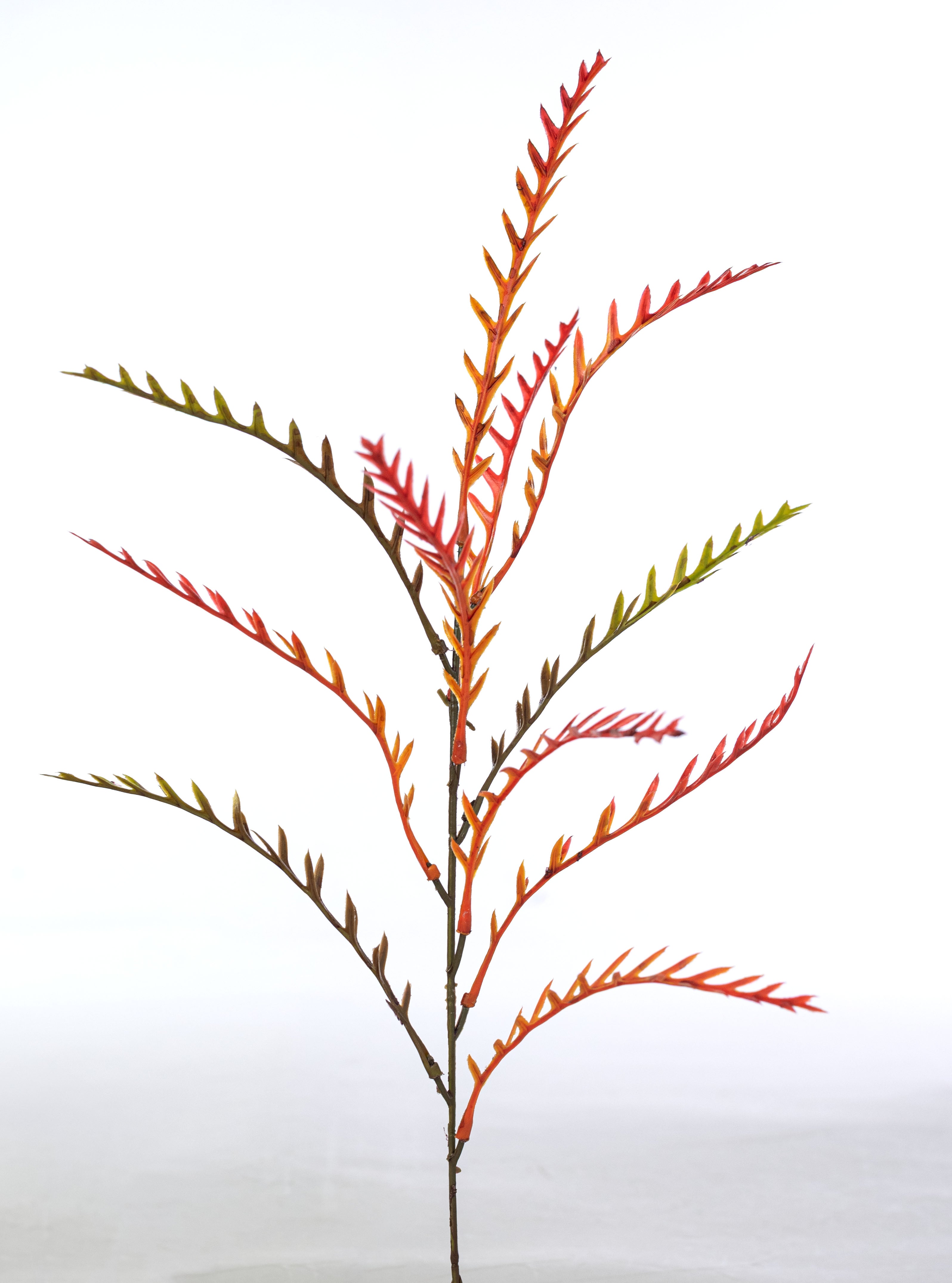 21" Plastic Fern Greenery Bush: Fall Hues