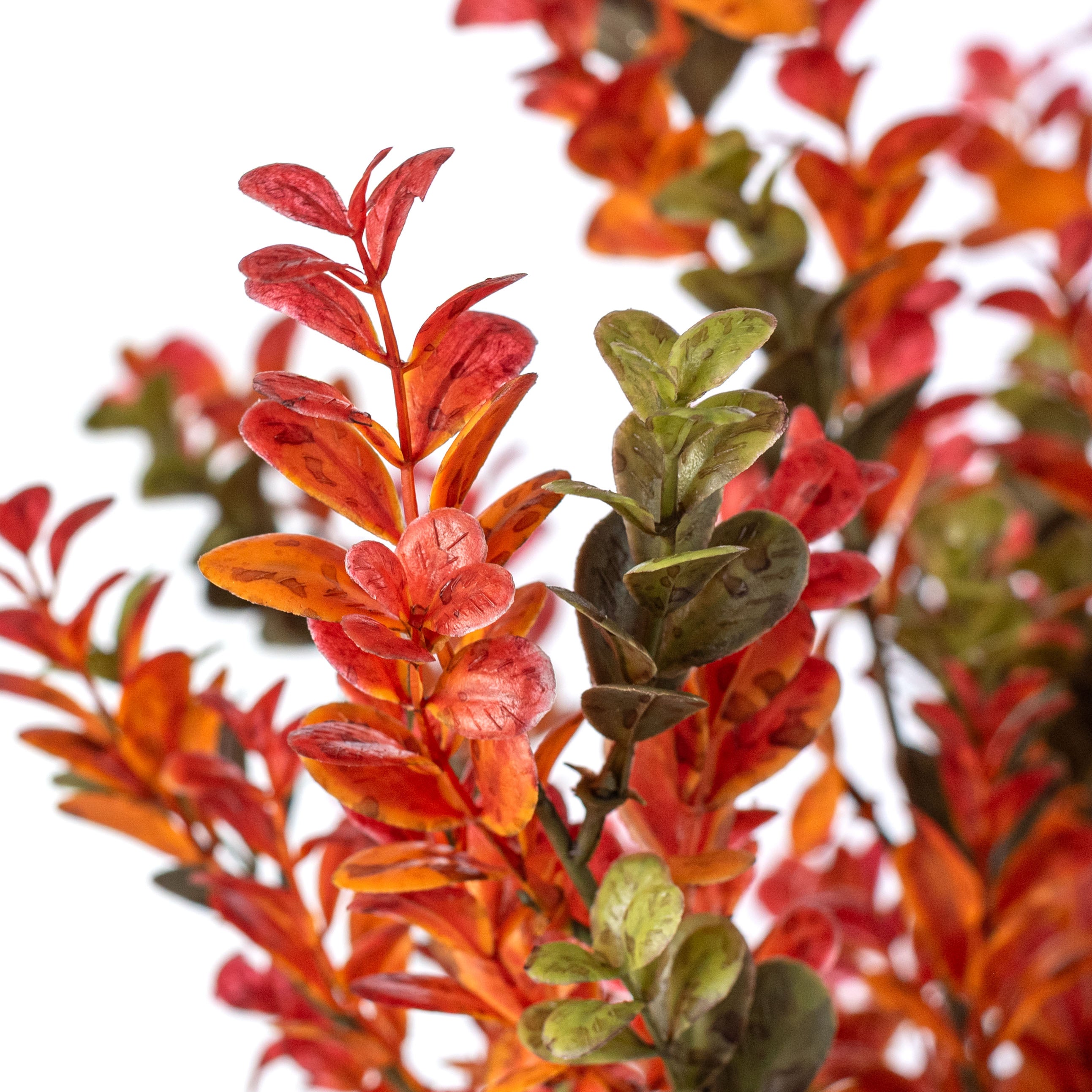 17" Boxwood Greenery Bush: Fall Hues