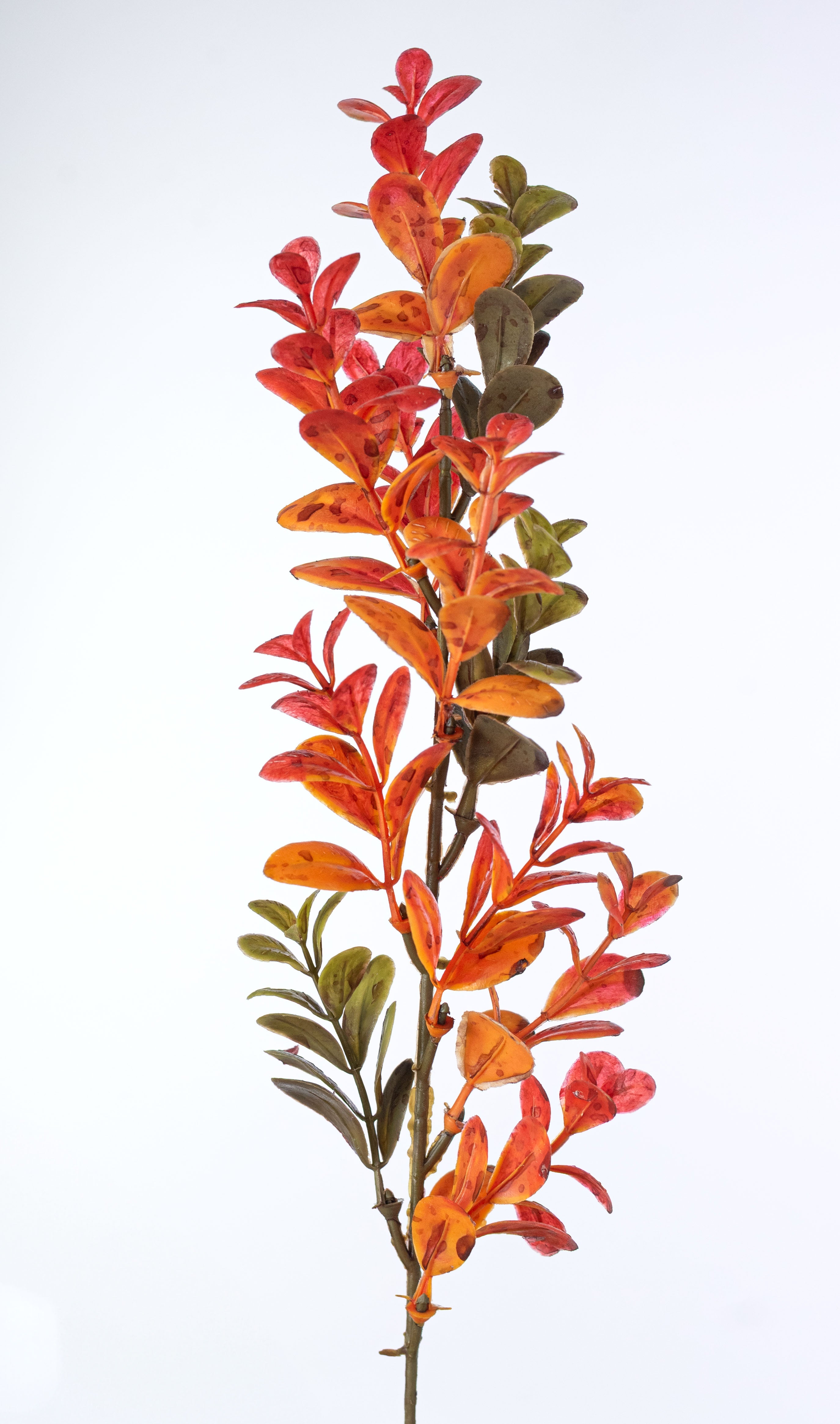 17" Boxwood Greenery Bush: Fall Hues