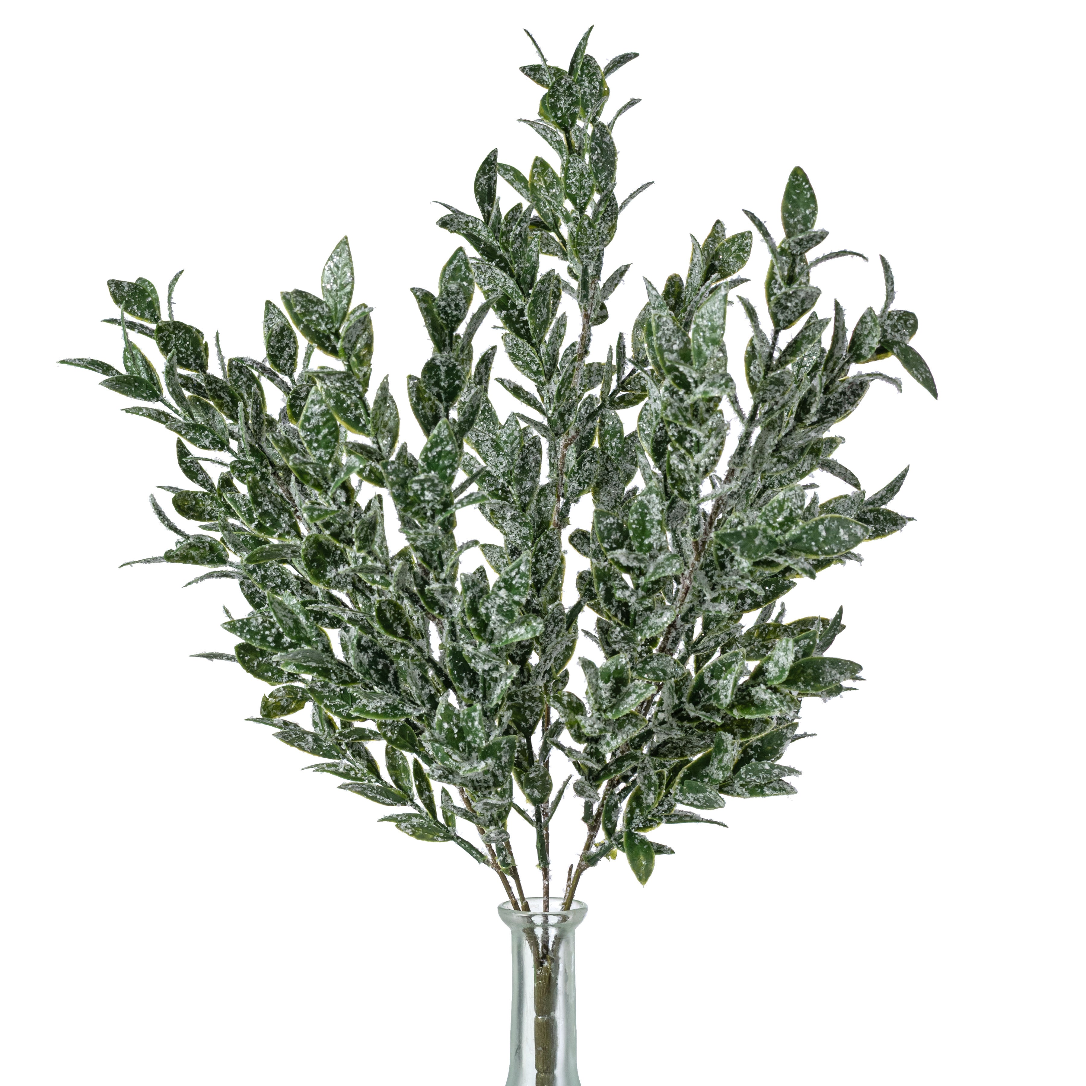 21" Iced Ruscus Leaves Bush (5 Stem)