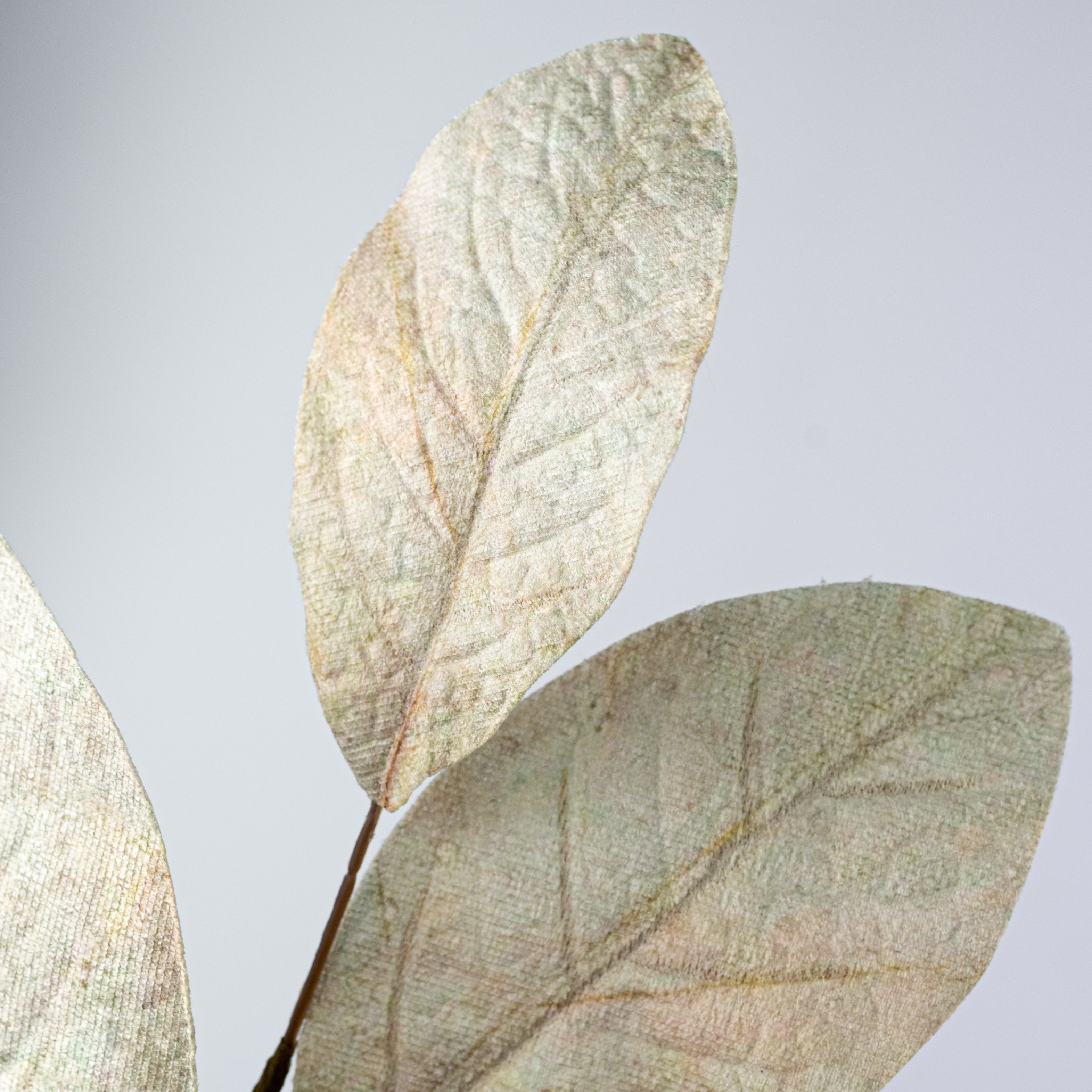 32" Magnolia Leaves Spray: Beige & Green