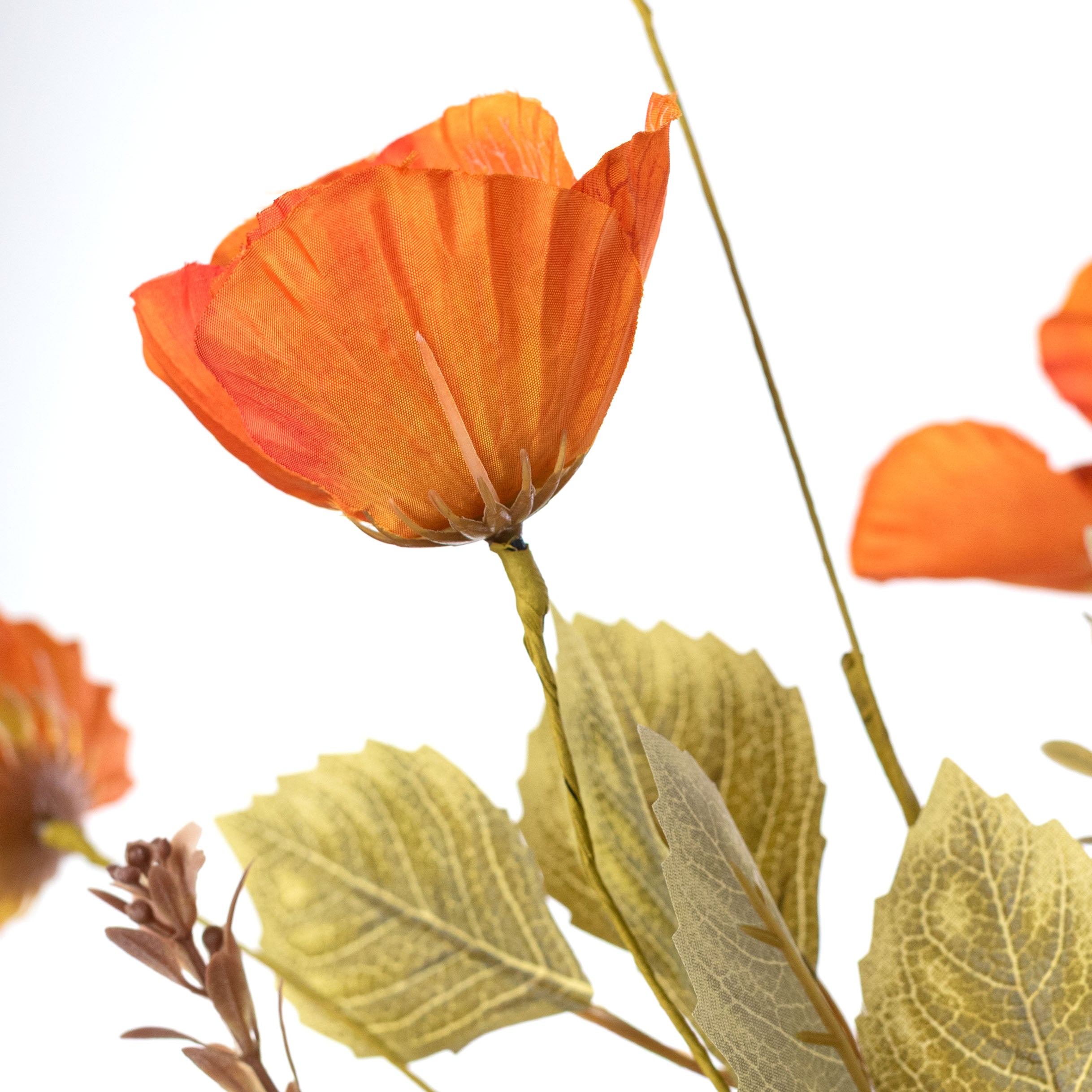 20" Mixed Fall Poppy Bush: Orange
