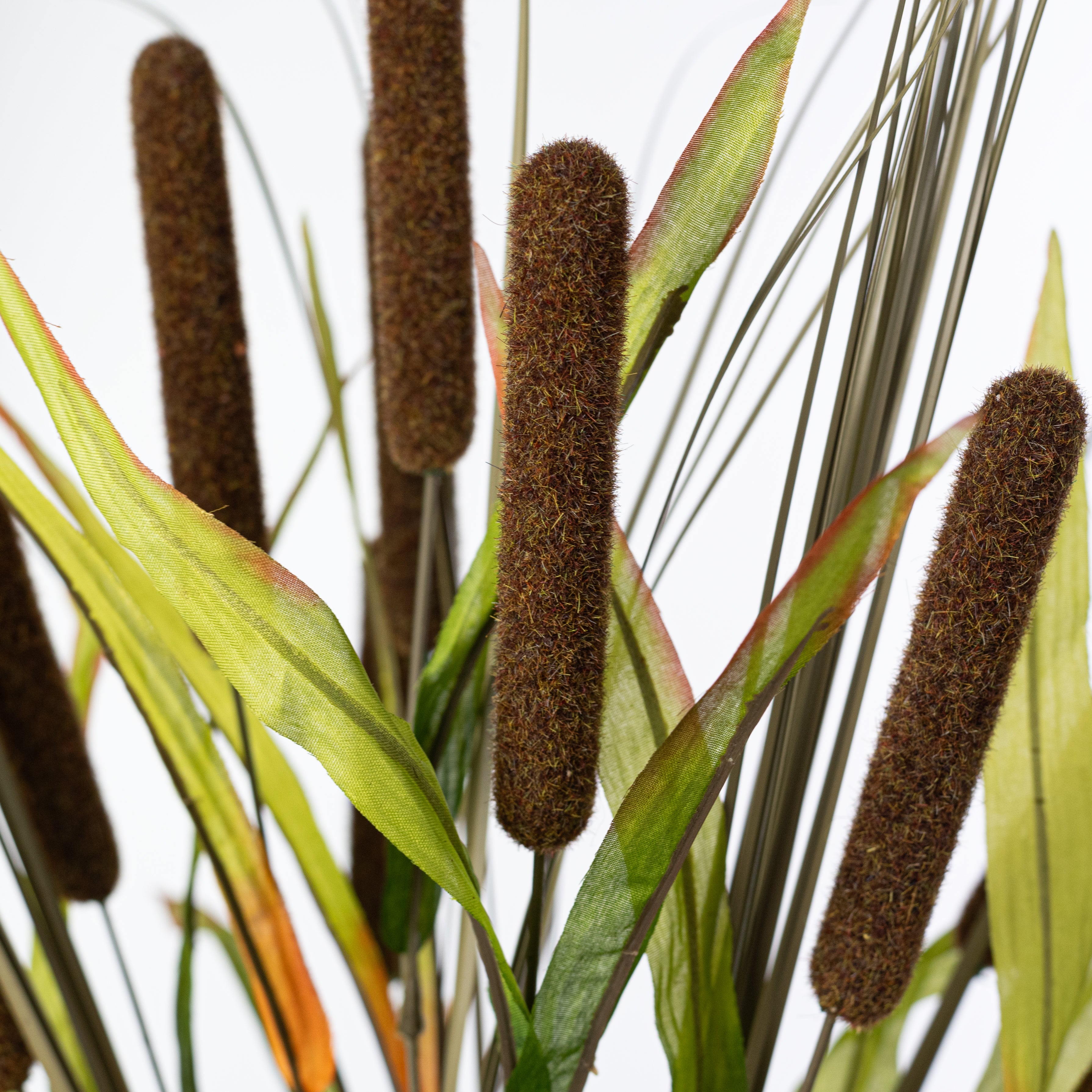 21" Artificial Cattail Bush: Brown (10 Stem)
