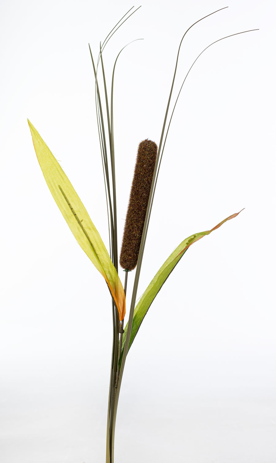 K&K Interiors 16540A-BRLT 25 Inch Light Brown 5 Head Cattail Stem K&K Interiors 16540A-BRLT 25 Inch Light Brown 5 Head Cattail Stem