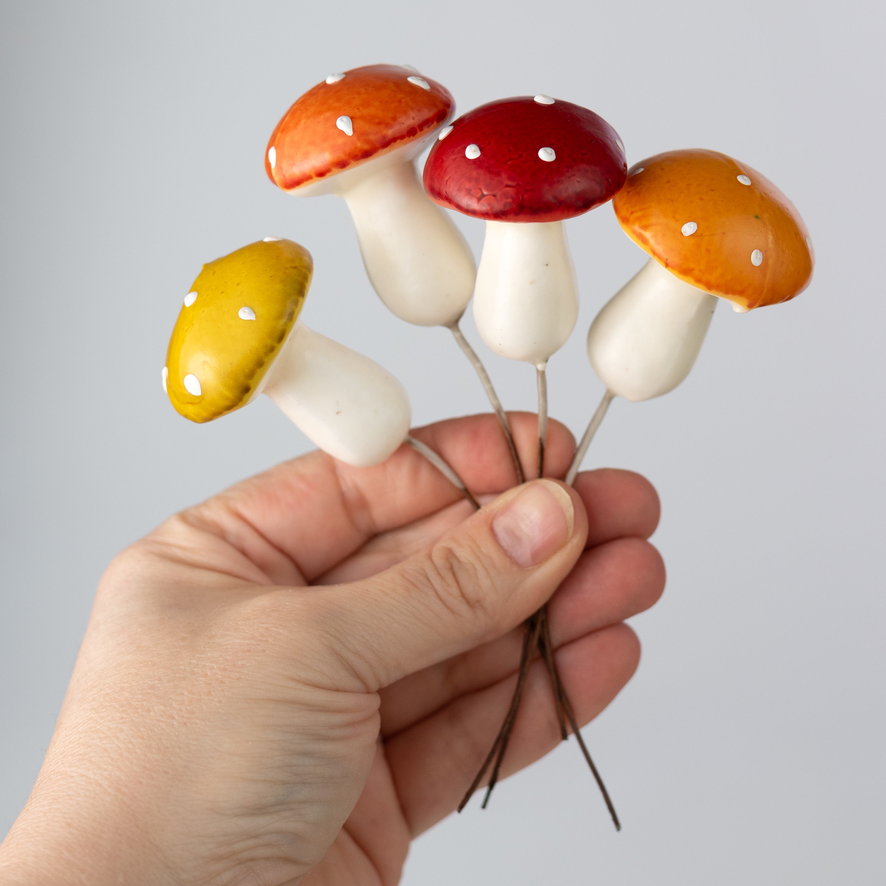 1.75" Assorted Mushroom Picks (Box of 36)